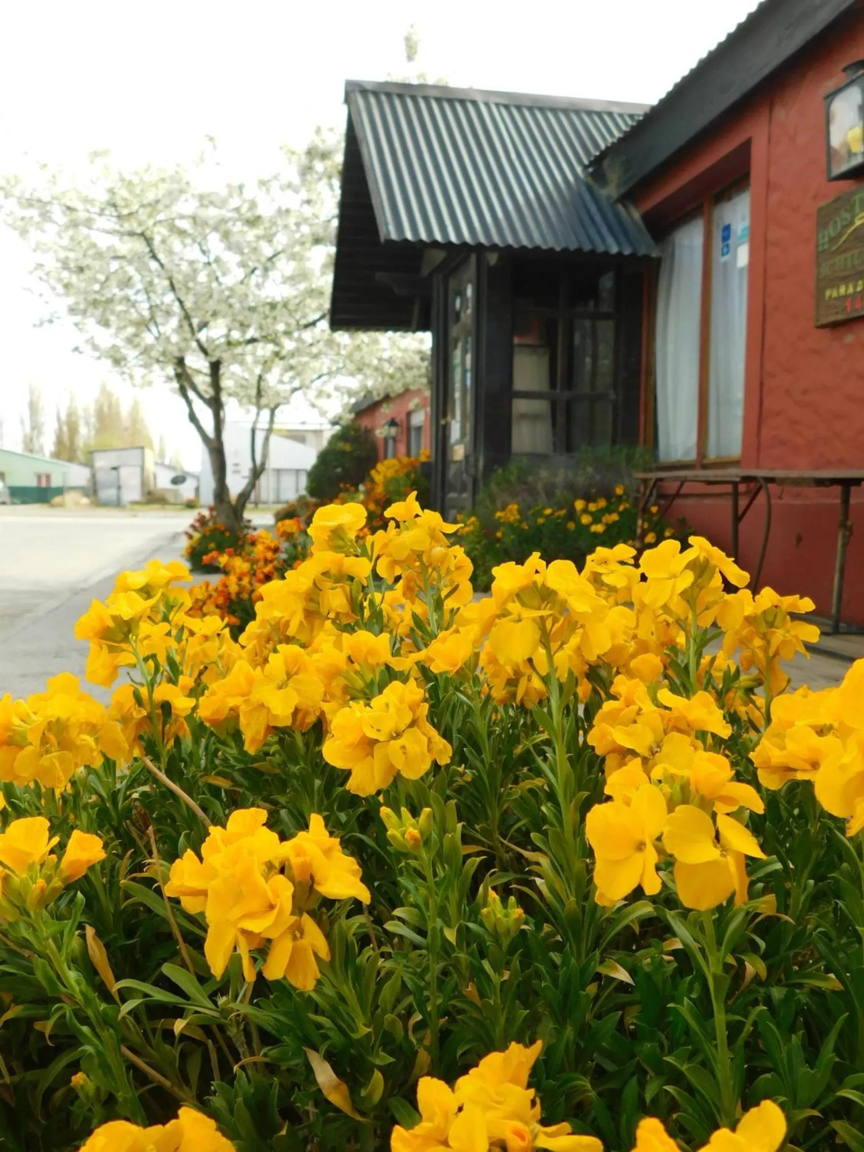 Facade/entrance in Hostal Schilling