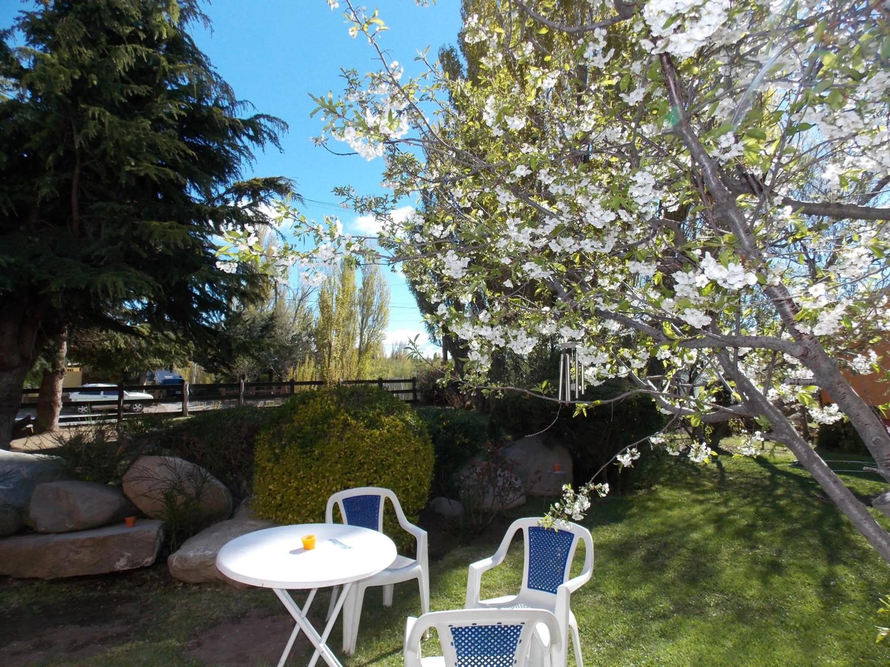 Garden in Hostal Schilling