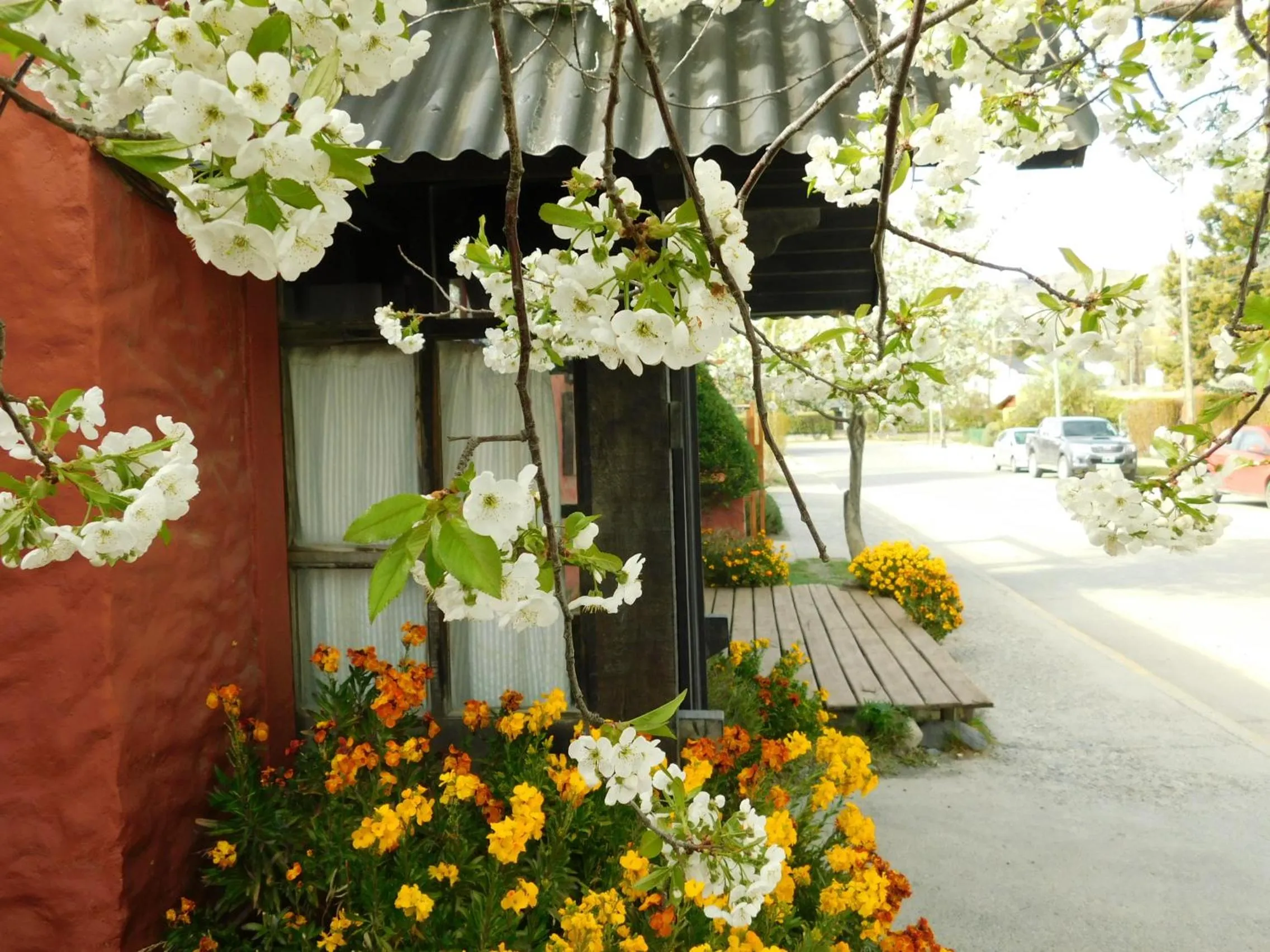 Facade/entrance in Hostal Schilling