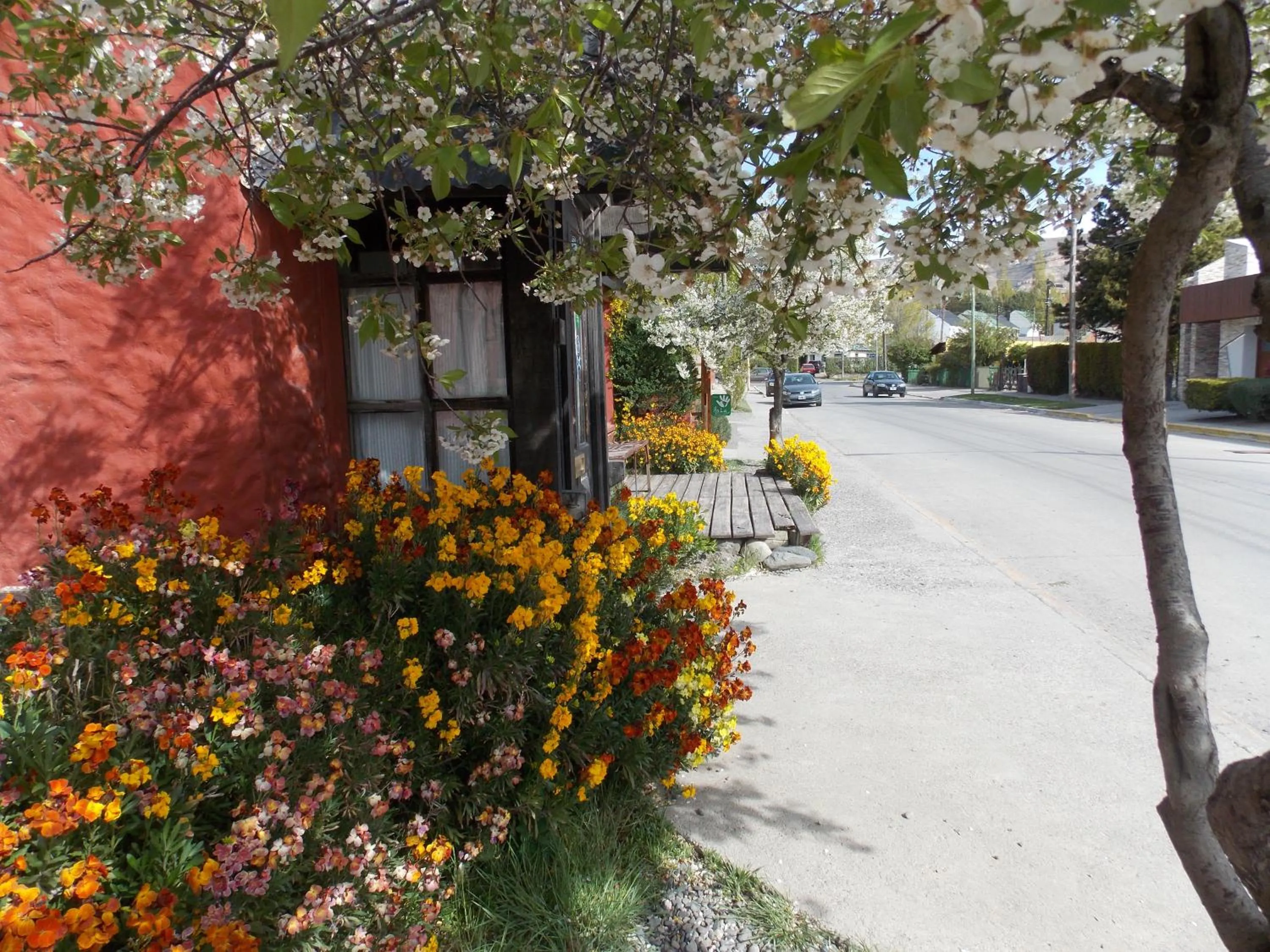 Facade/entrance in Hostal Schilling