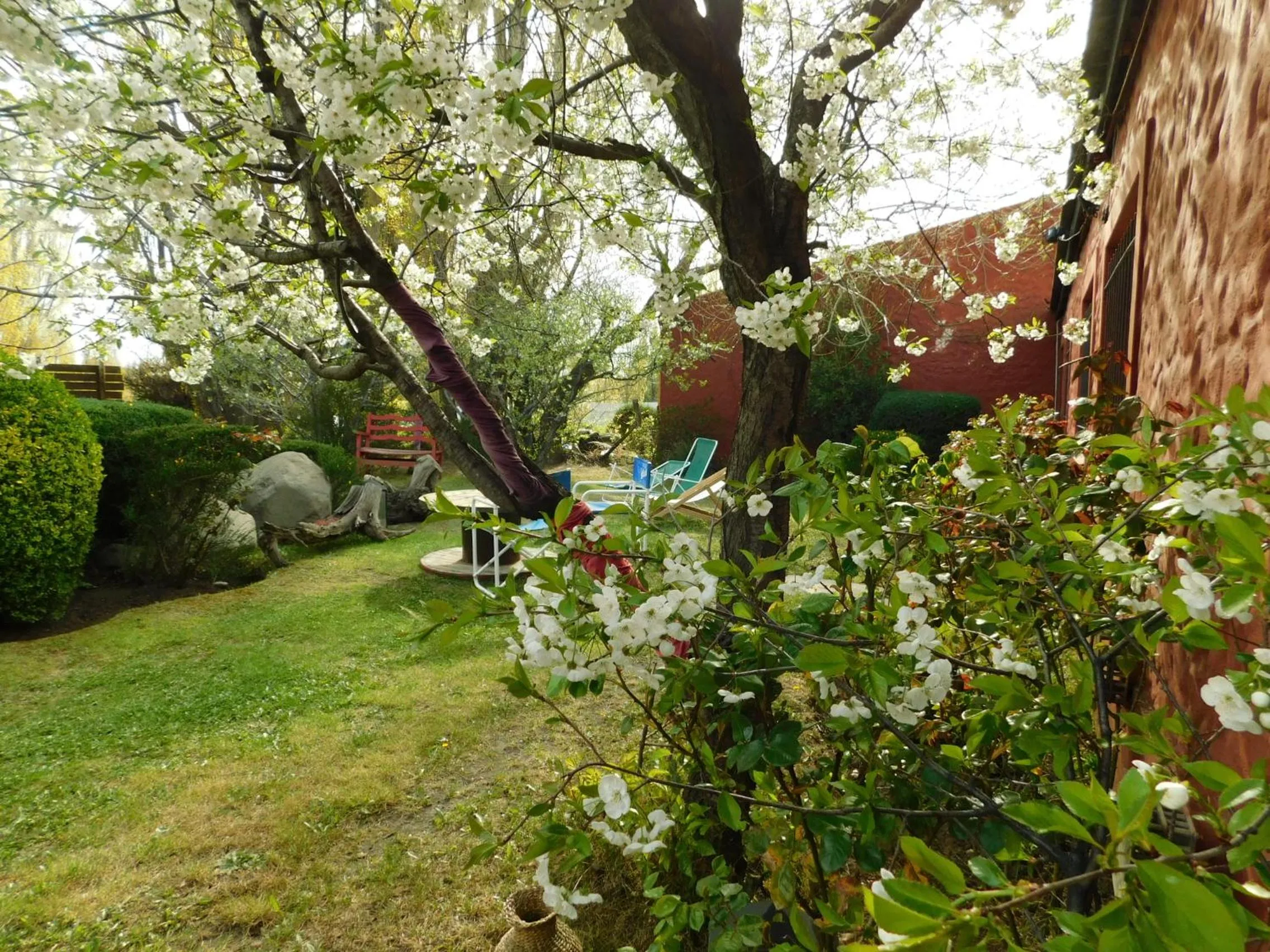 Garden in Hostal Schilling
