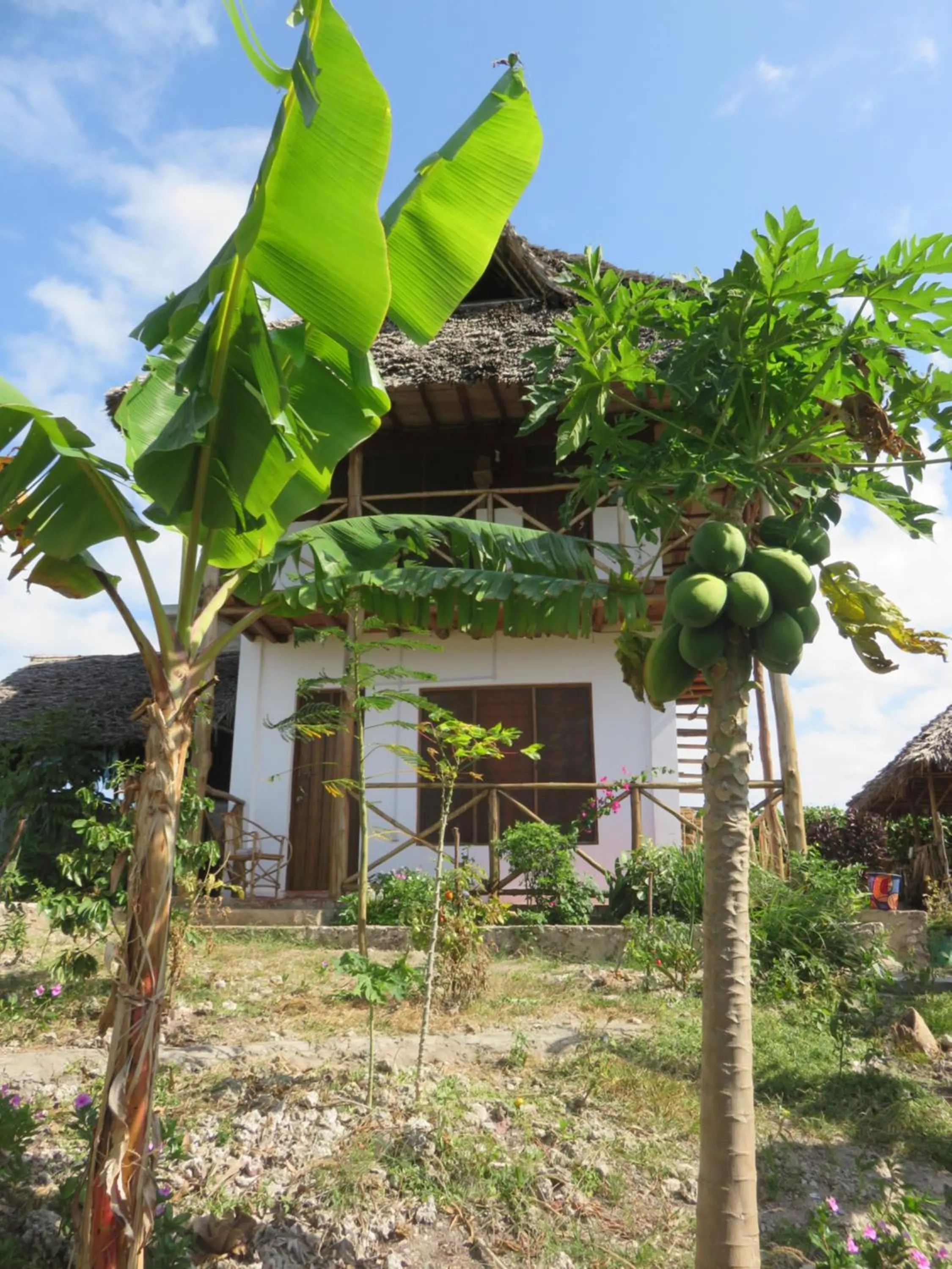Property building in Kilimani House