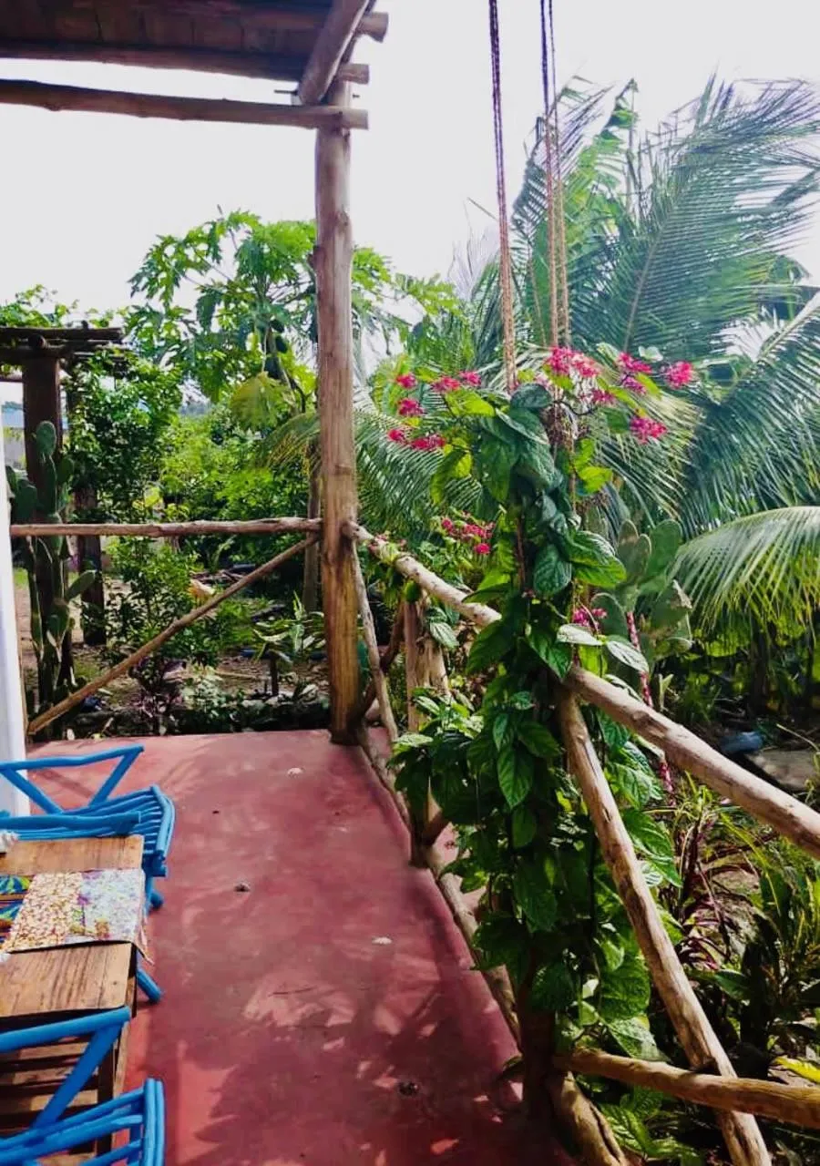 Garden in Kilimani House