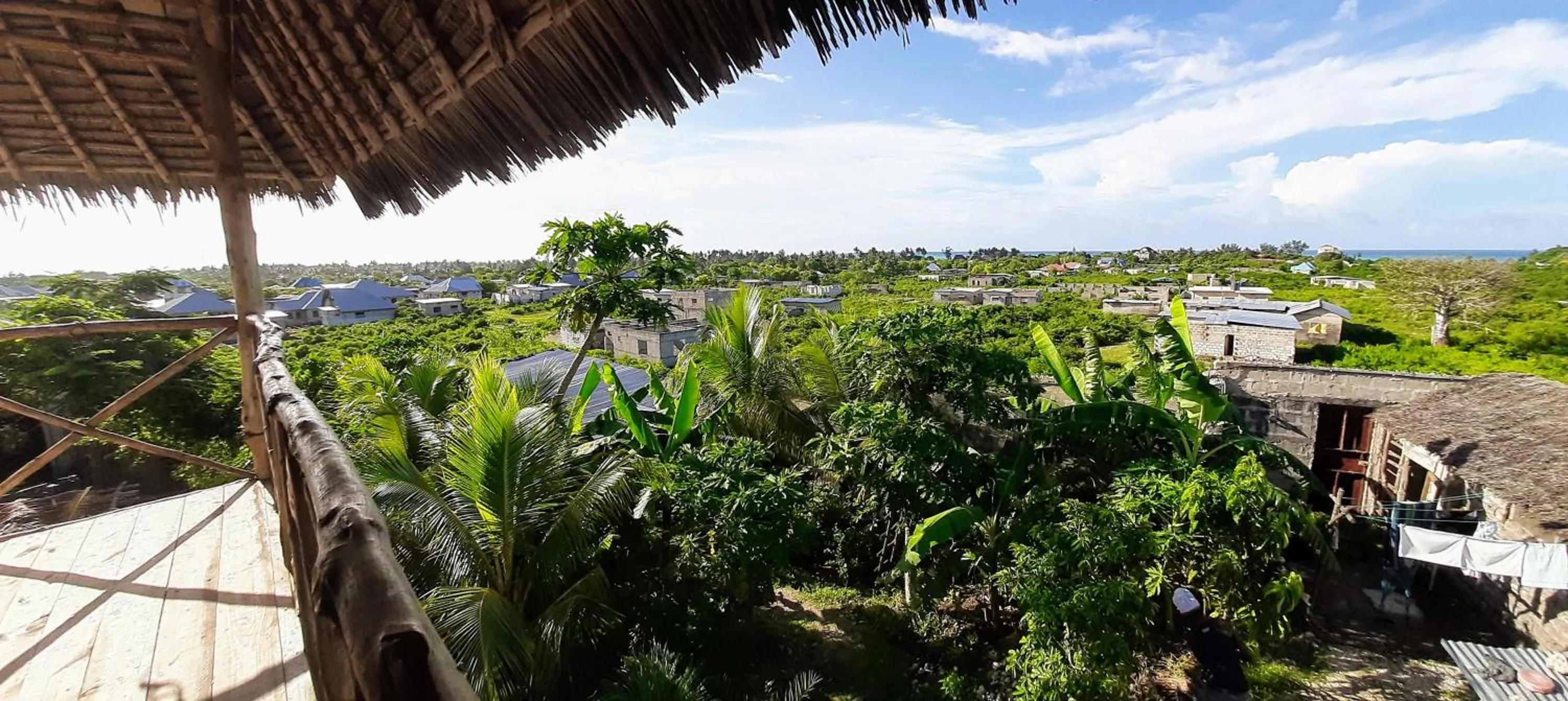 Garden view in Kilimani House