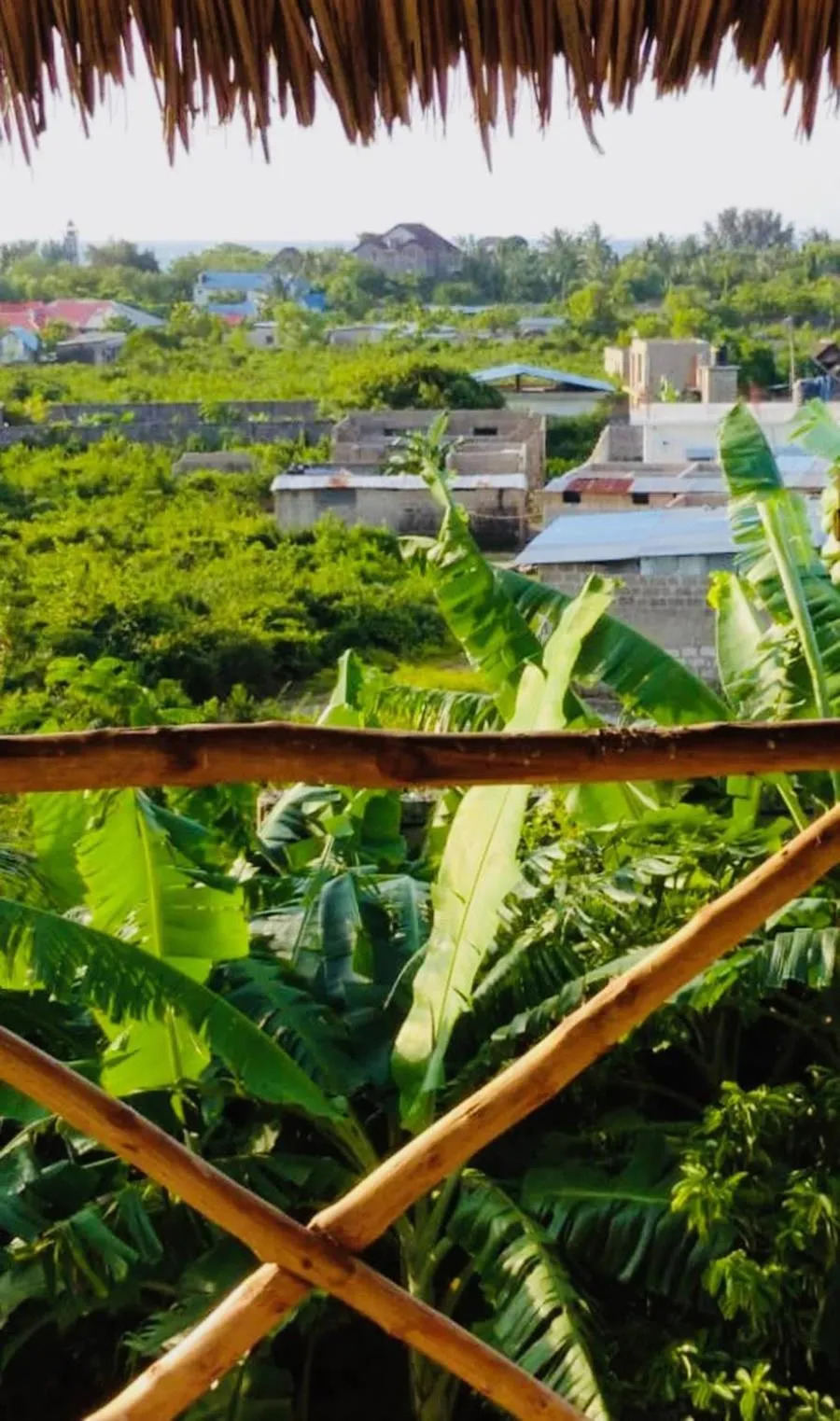 Garden view in Kilimani House