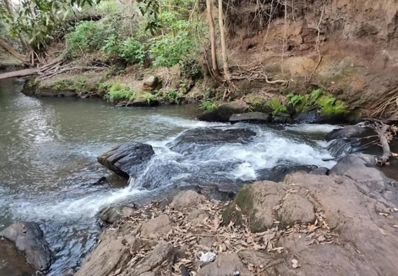 View (from property/room) in River Valley Resort