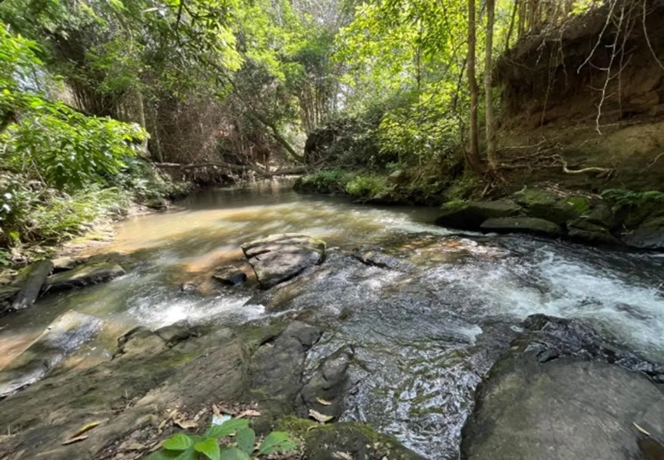 View (from property/room) in River Valley Resort