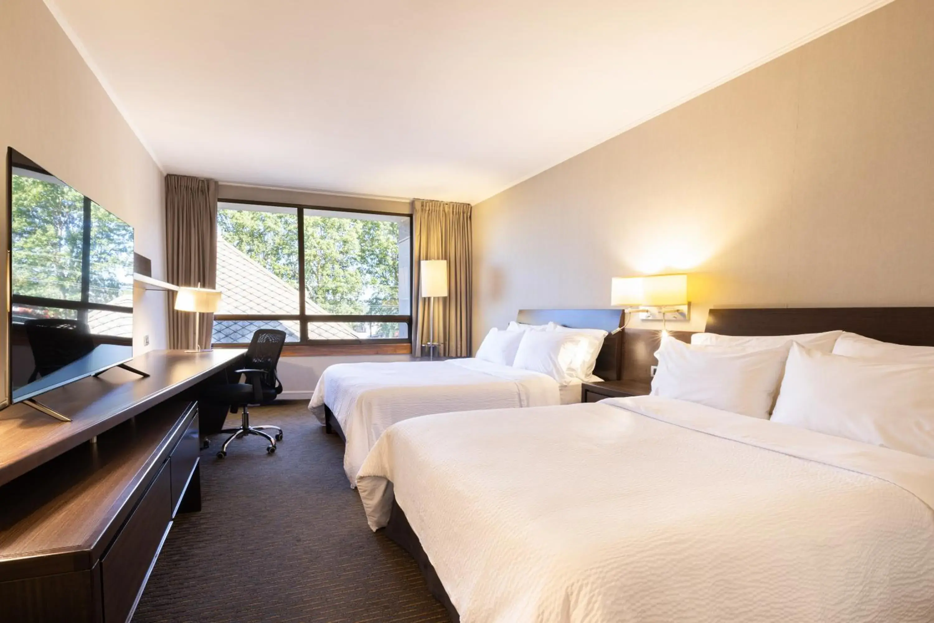 Standard Room in Holiday Inn Express - Temuco by IHG Standard Room in Holiday Inn Express - Temuco by IHG