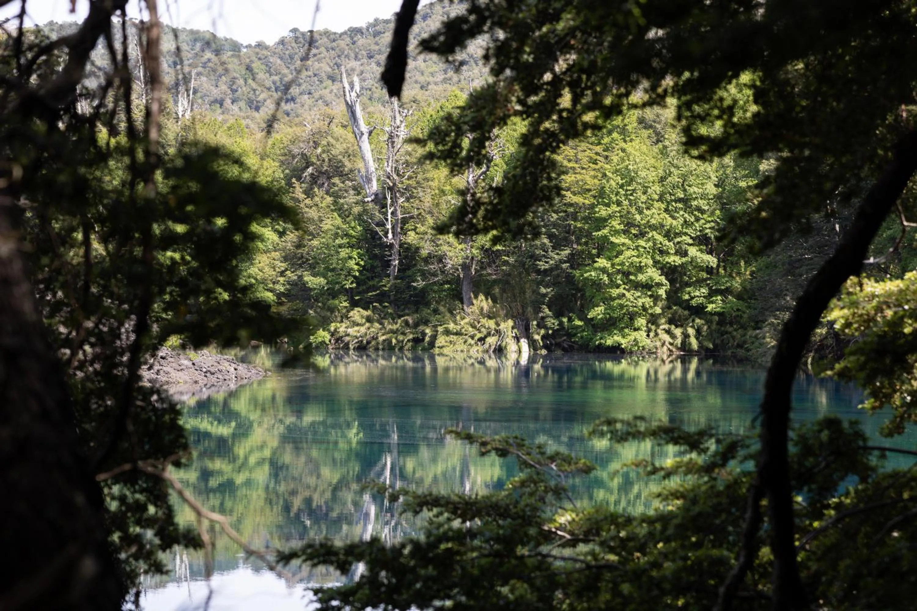 Holiday Inn Express - Temuco by IHG