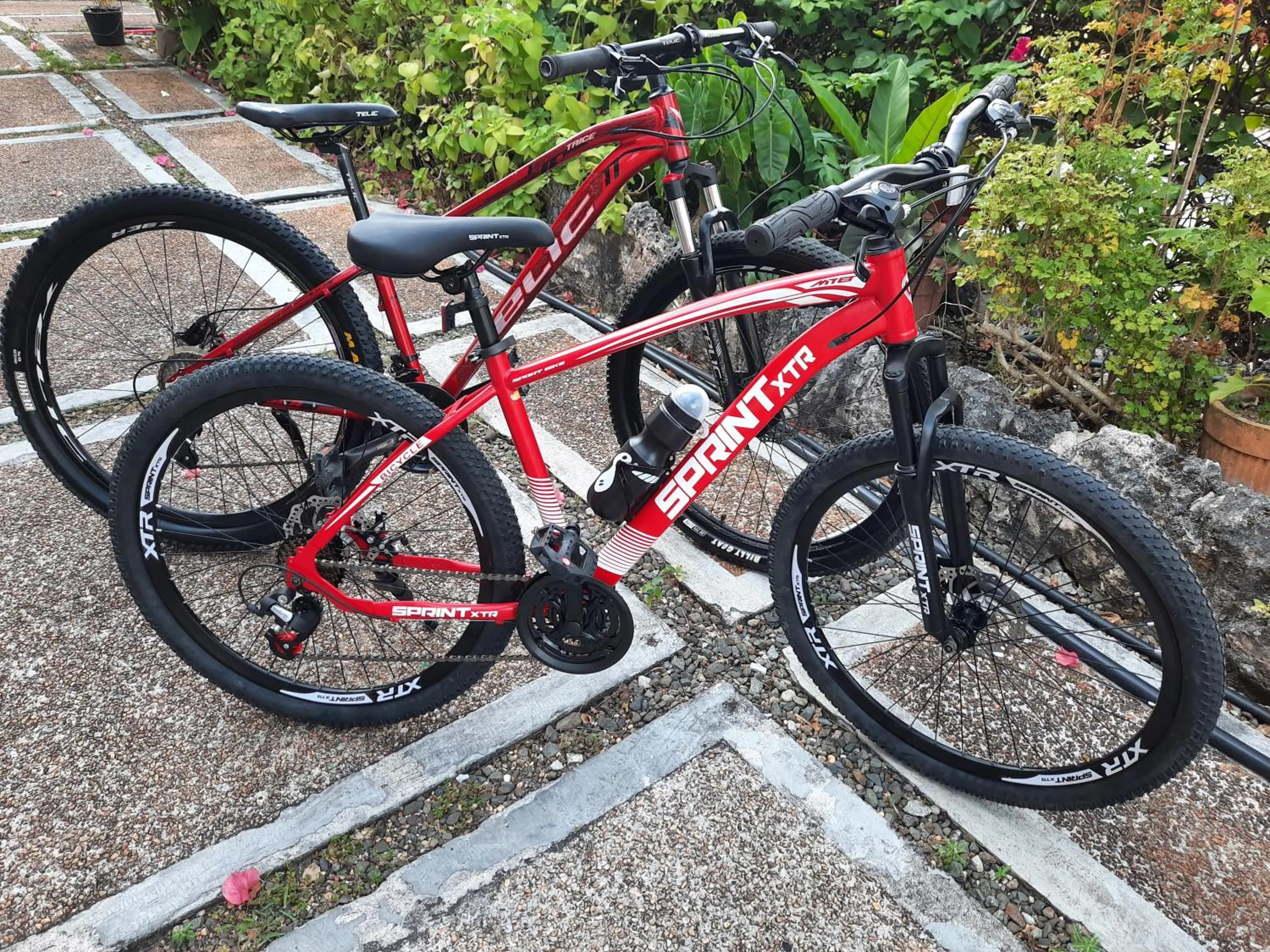 Sports in Bohol Vantage Resort