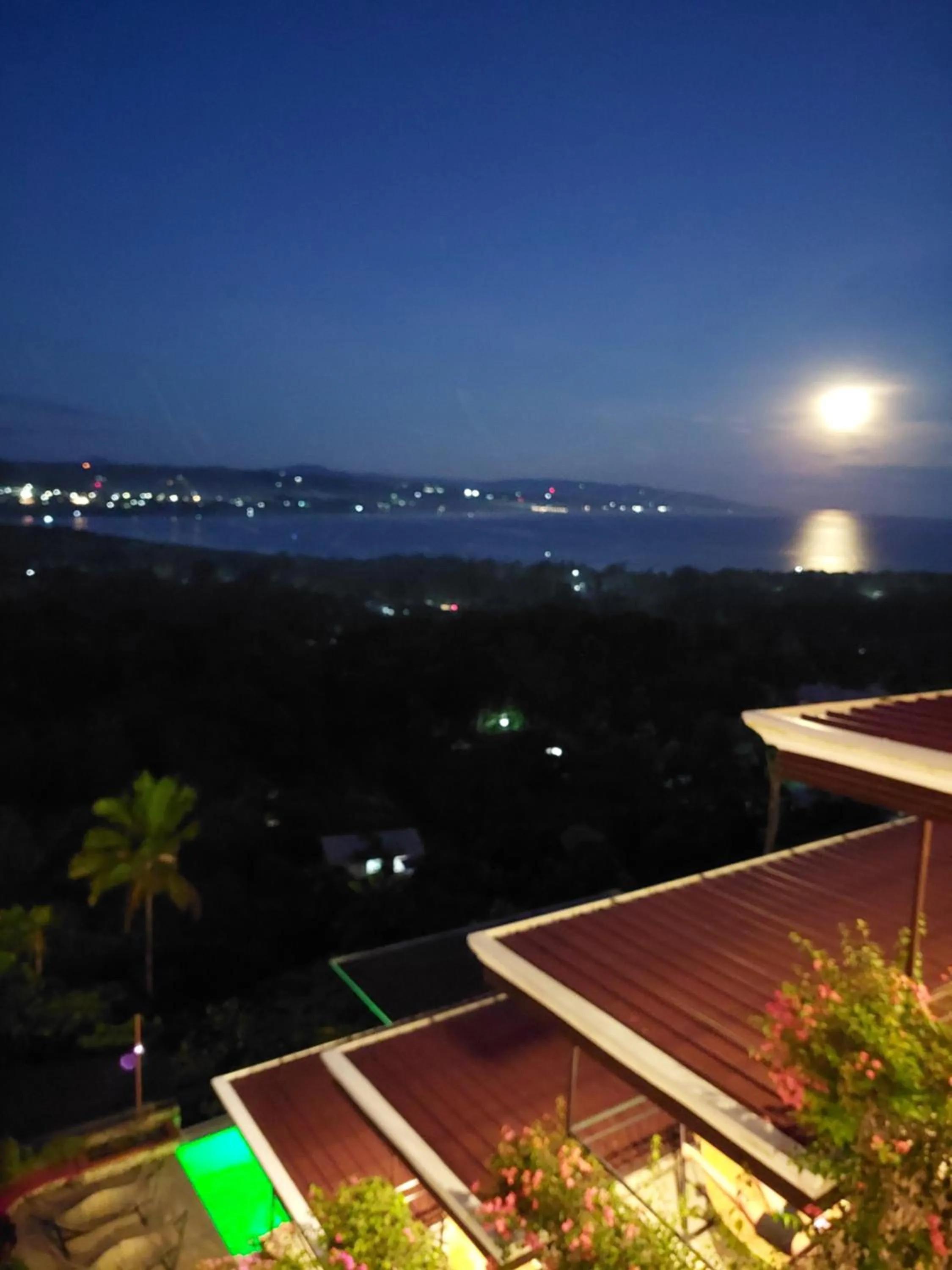 View (from property/room) in Bohol Vantage Resort