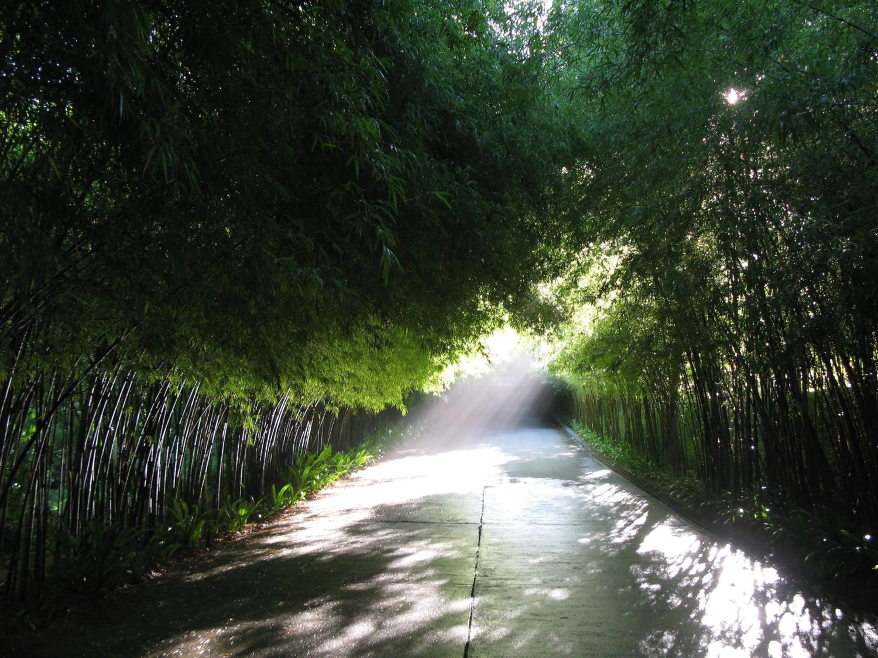 Decorative detail in The Pavilions Phuket