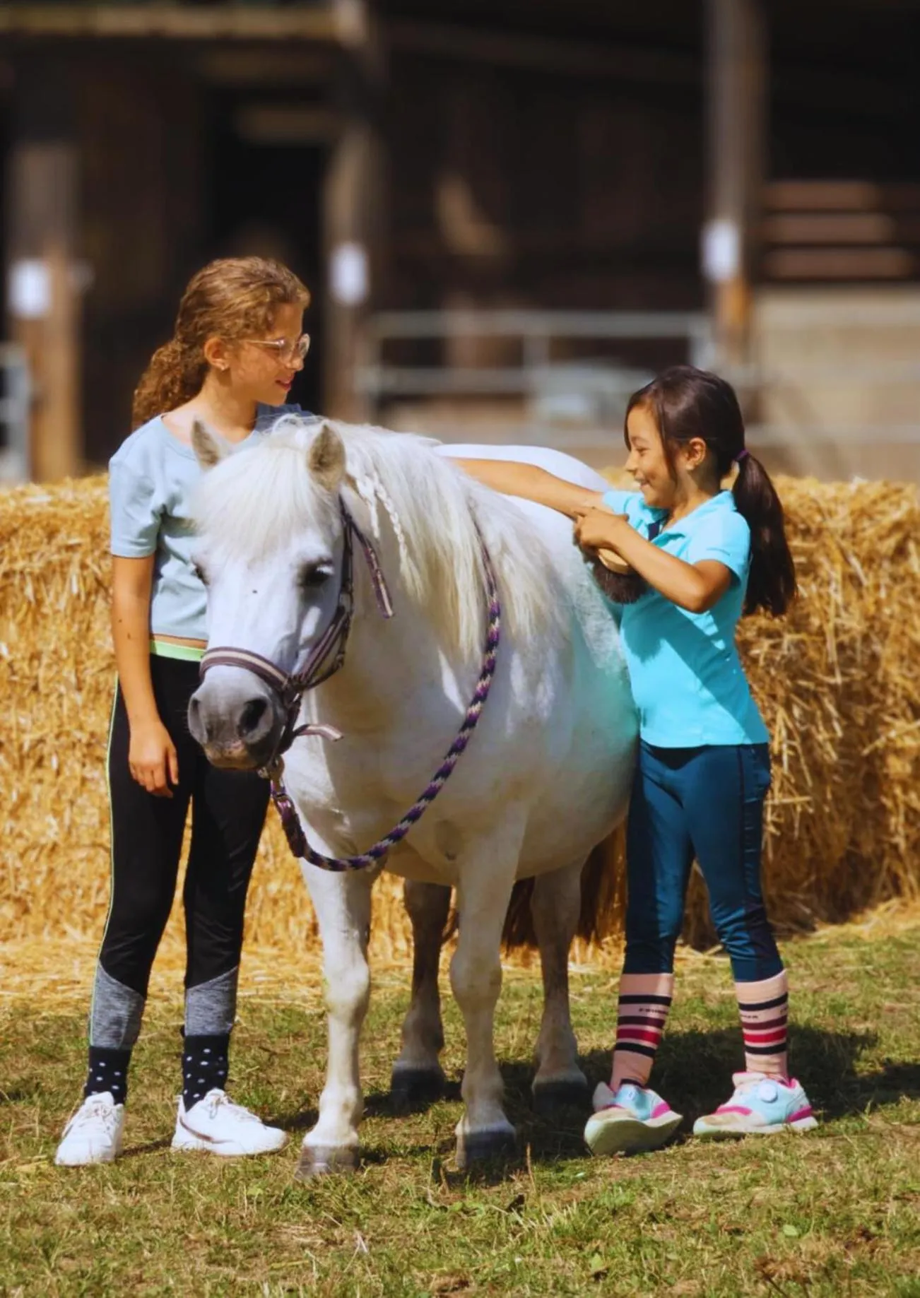 Horse-riding in SAS Le Hameau des Grilles
