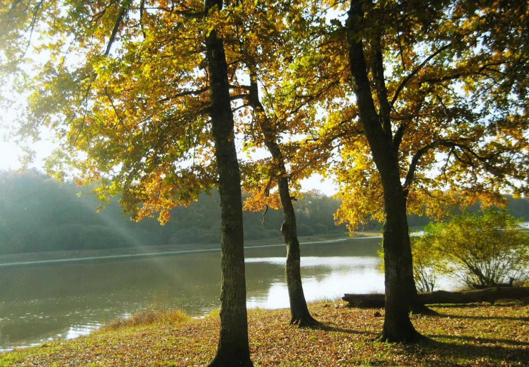 Lake view in SAS Le Hameau des Grilles