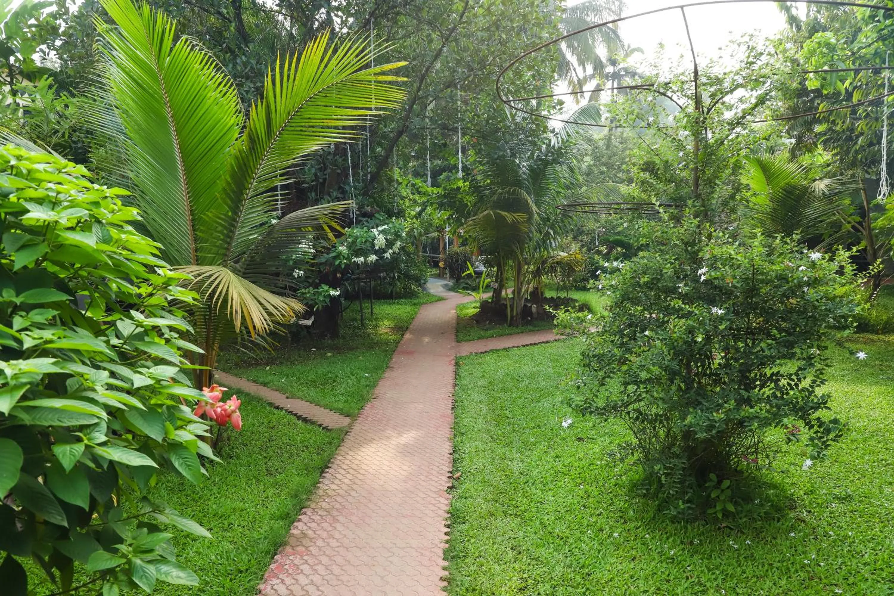 Garden in Sanidhya Beach Resort & Spa