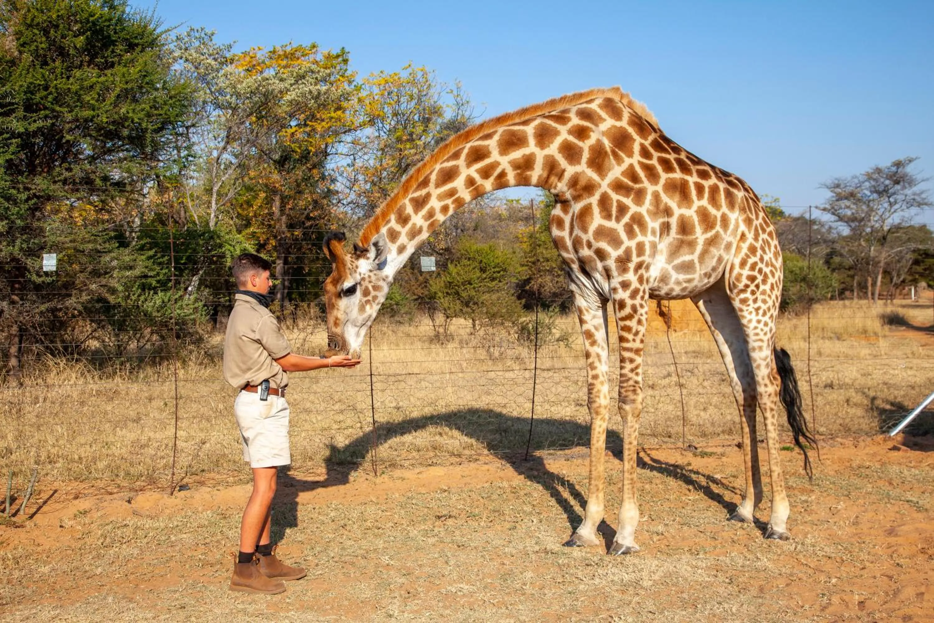 Sondela Nature Reserve & Spa Country House