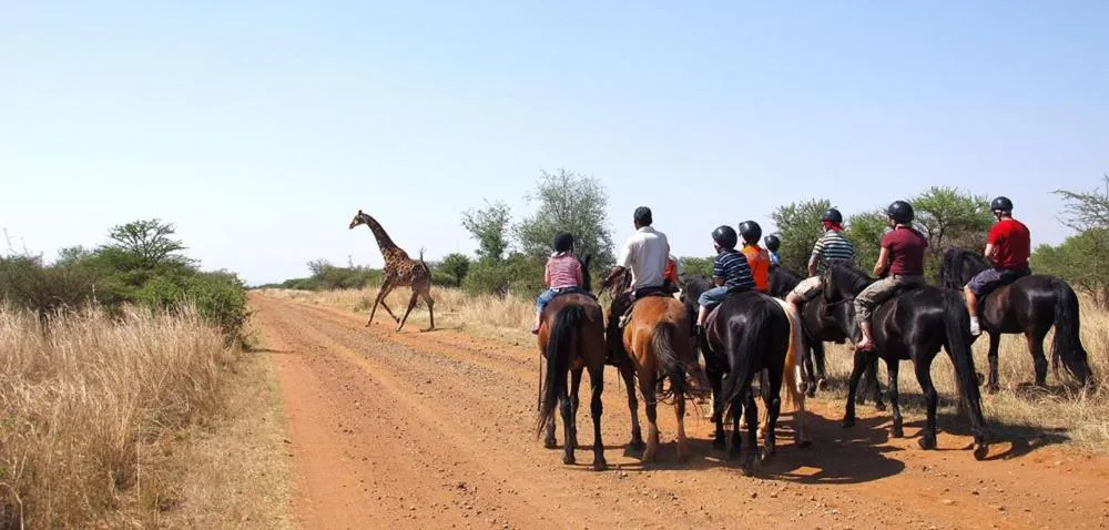 Sondela Nature Reserve & Spa Country House