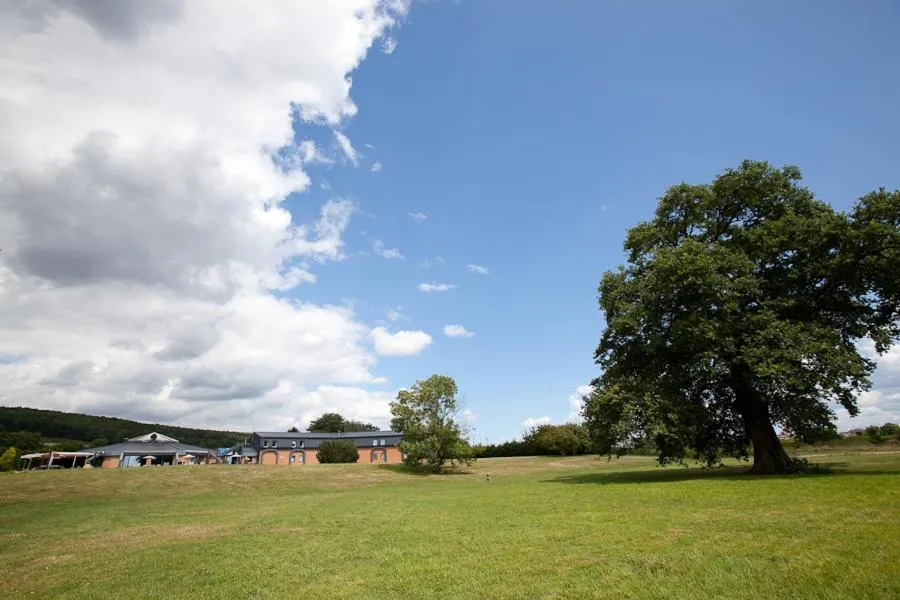 Garden in Le Noirlac