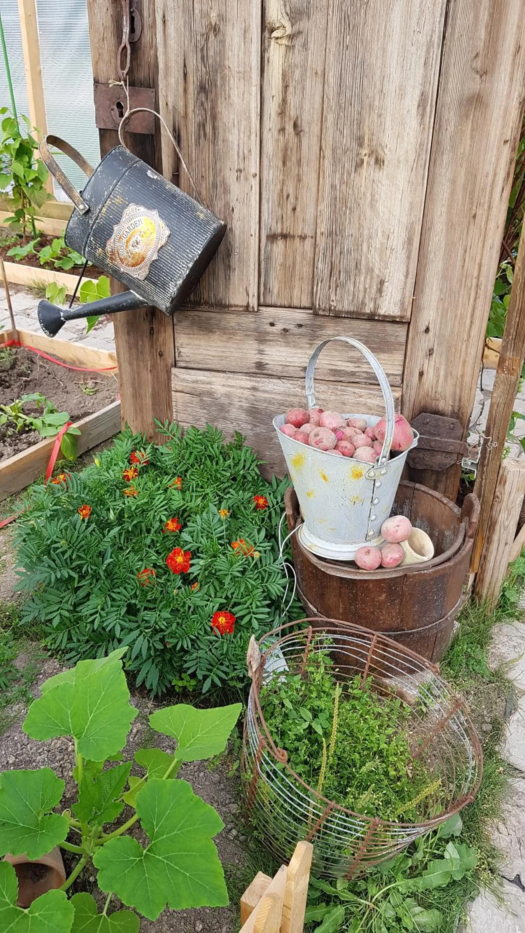 Summer in Stordrågen