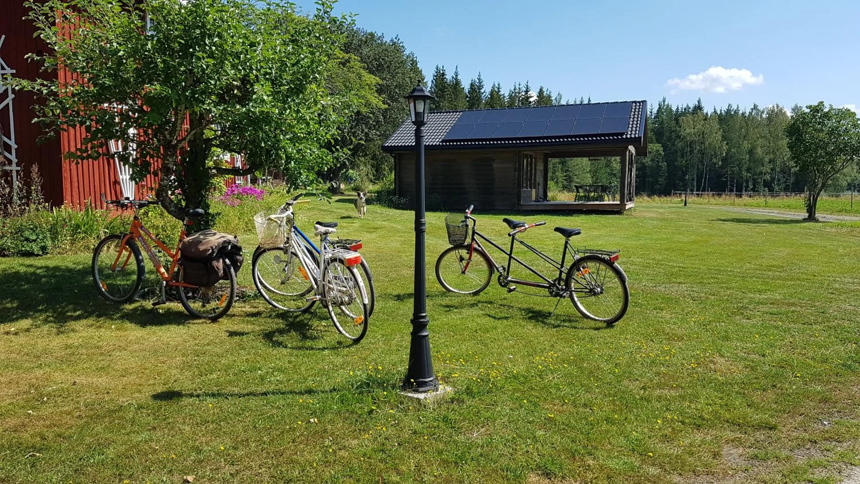 Cycling in Stordrågen