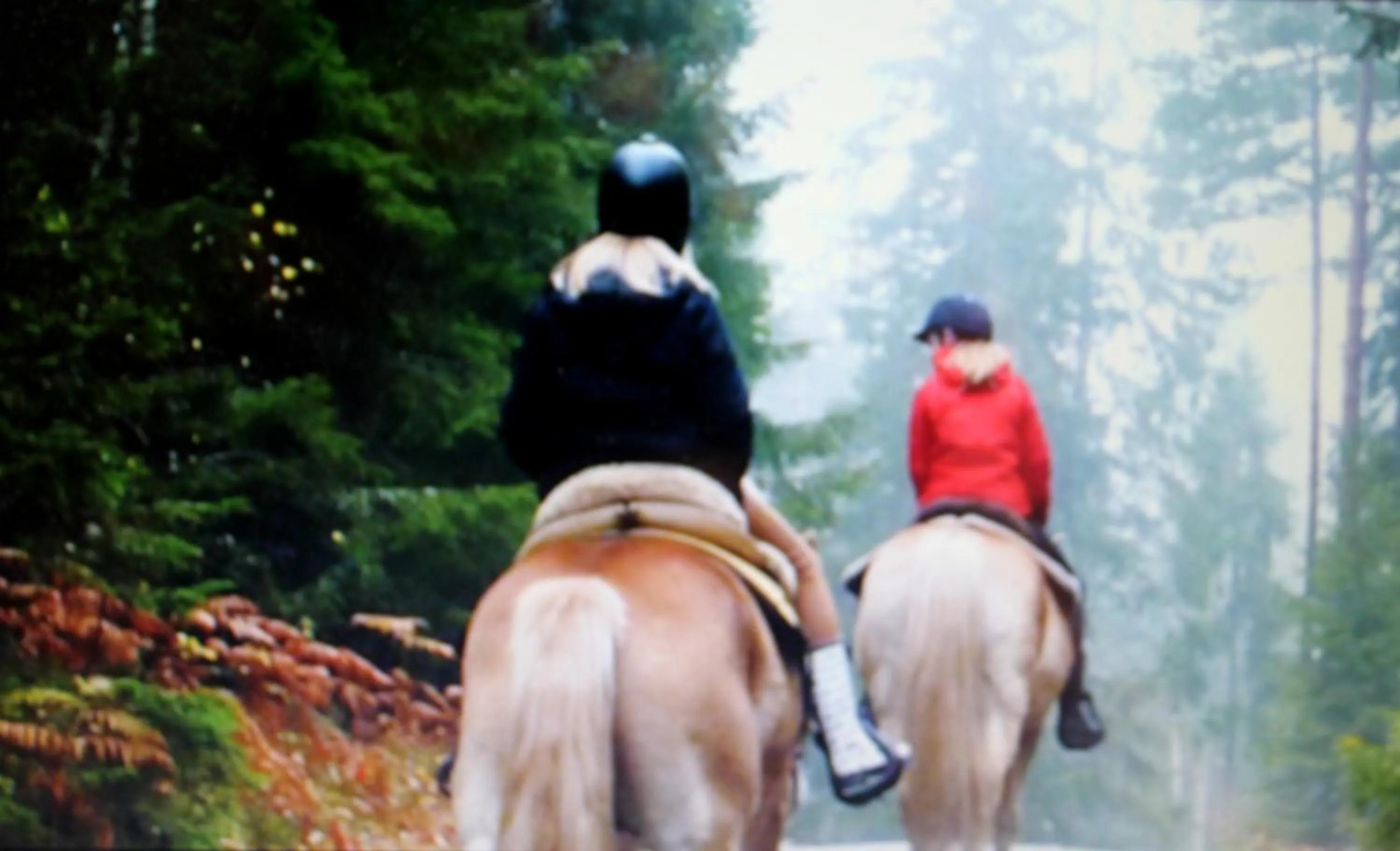 Off site in Stordrågen