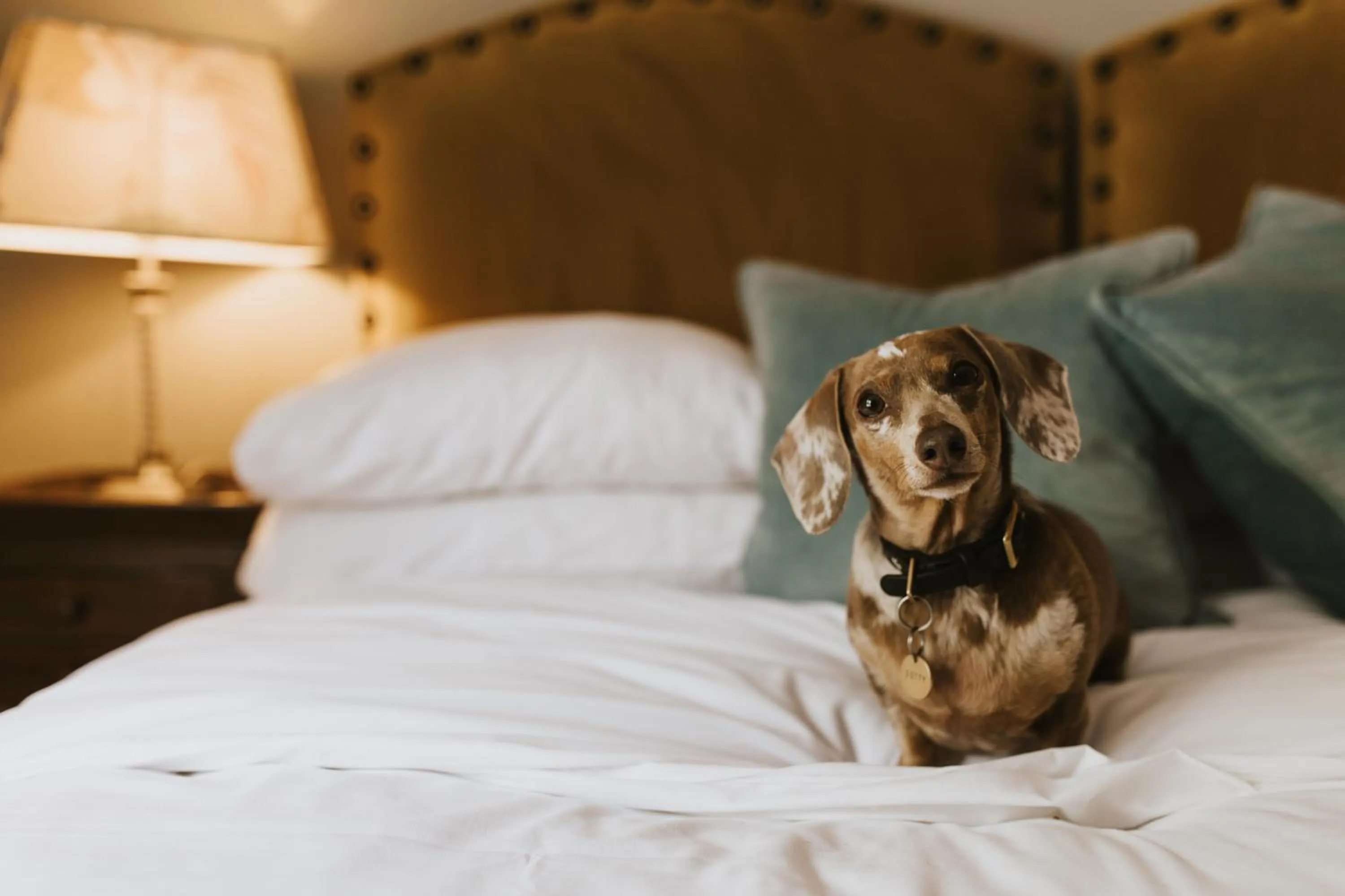 Bedroom, Bed in Tower Hotel