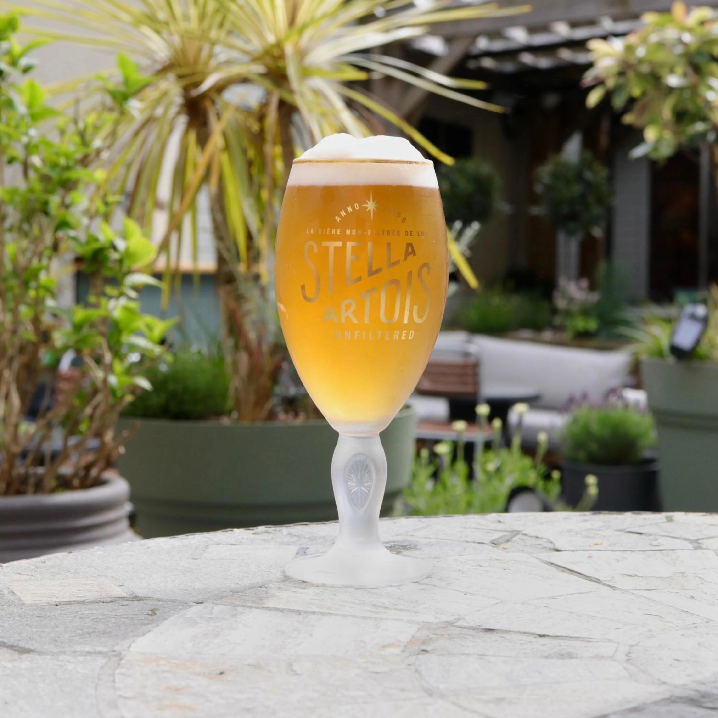 Garden in Tower Hotel