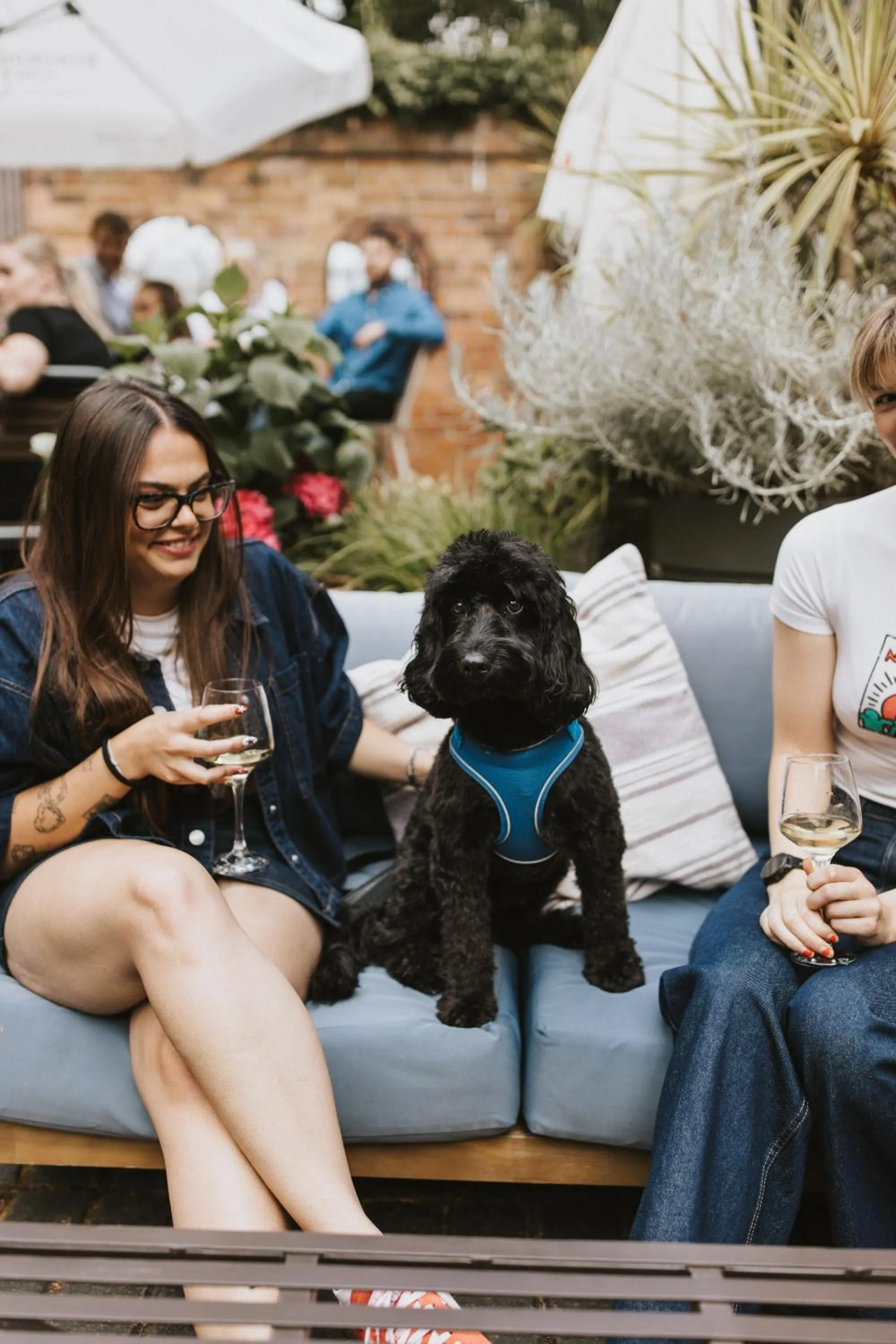 Garden in Tower Hotel