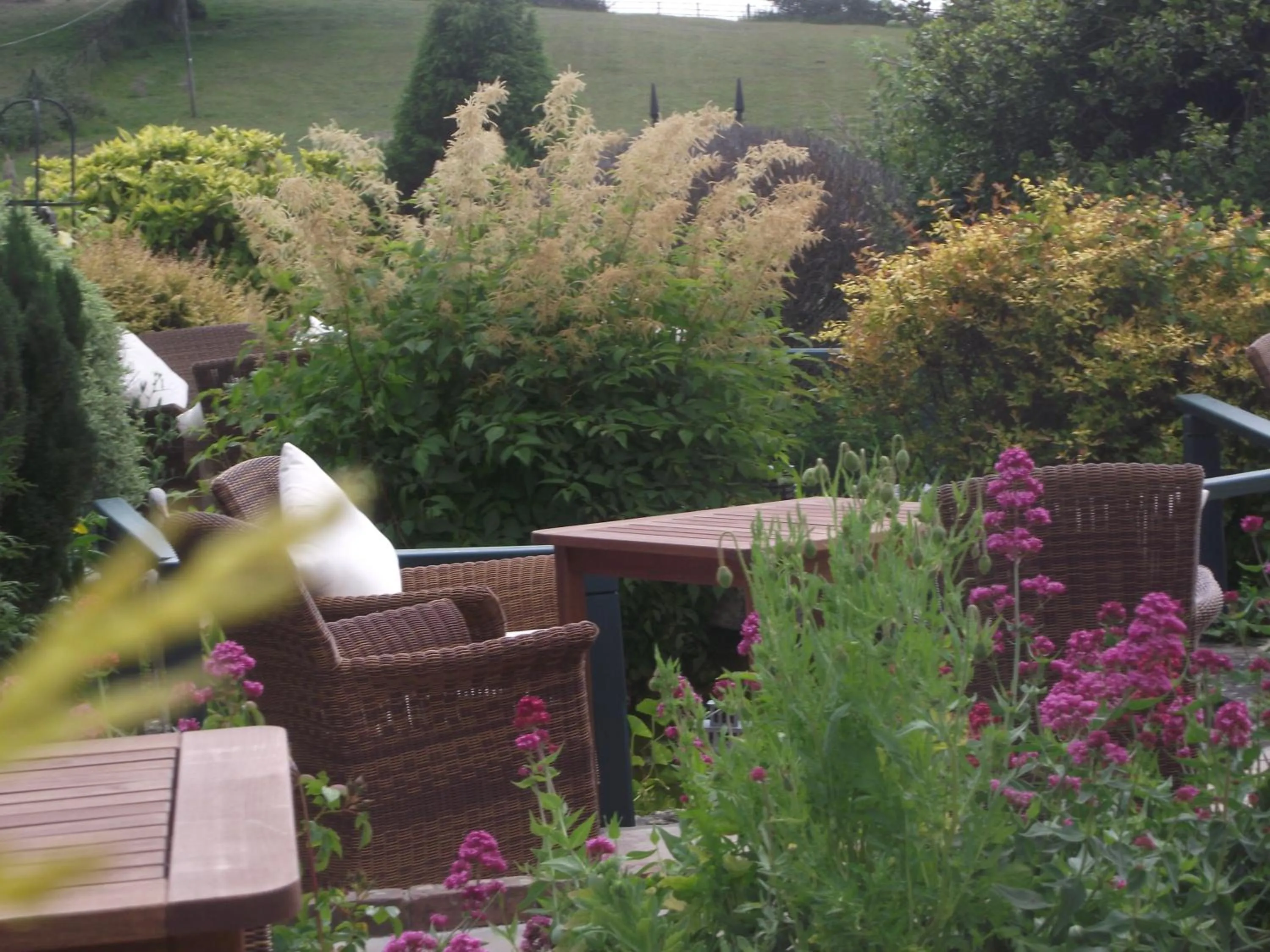 Patio in Yalbury Cottage