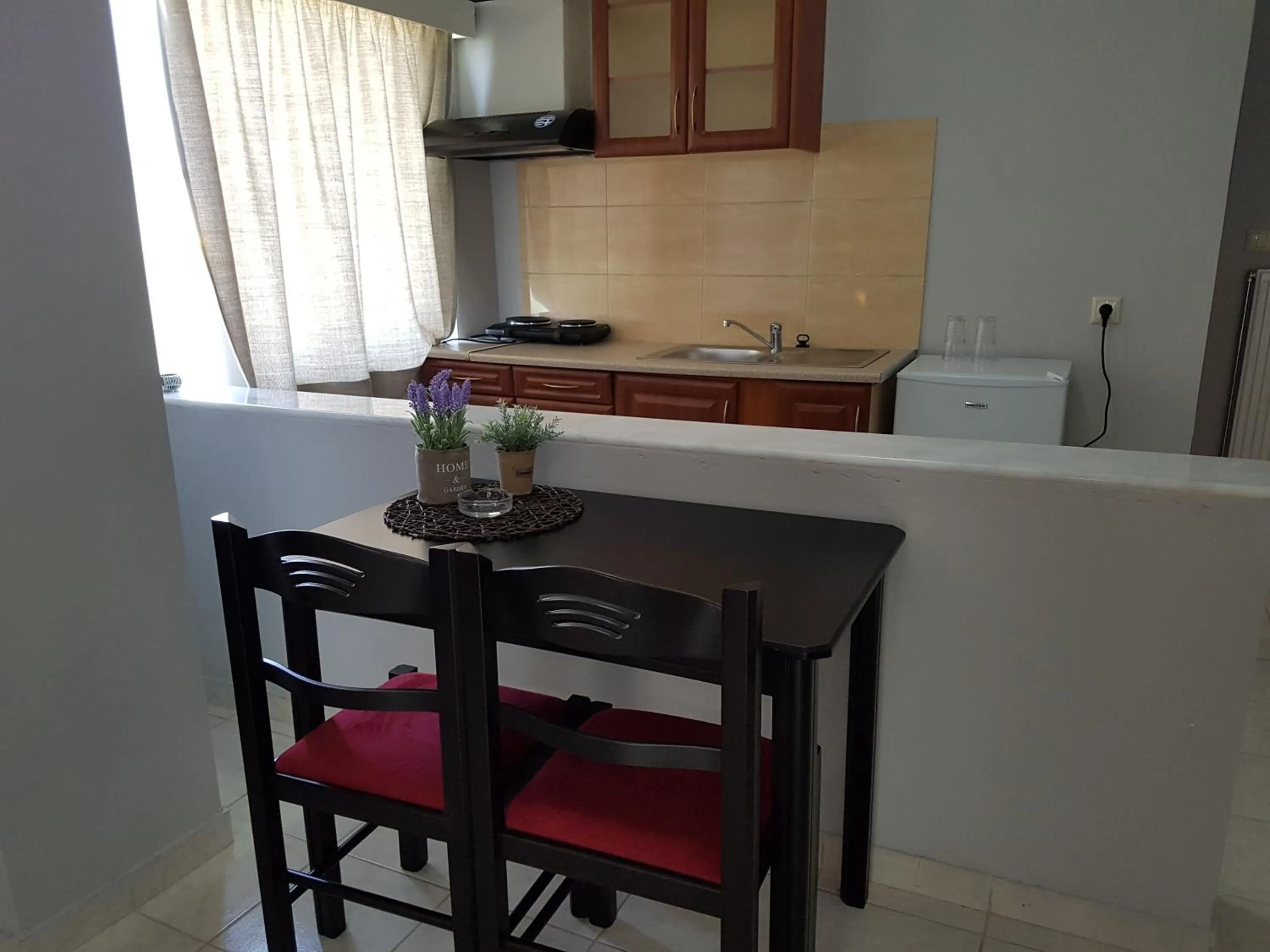 Kitchen or kitchenette in Hotel Apollon
