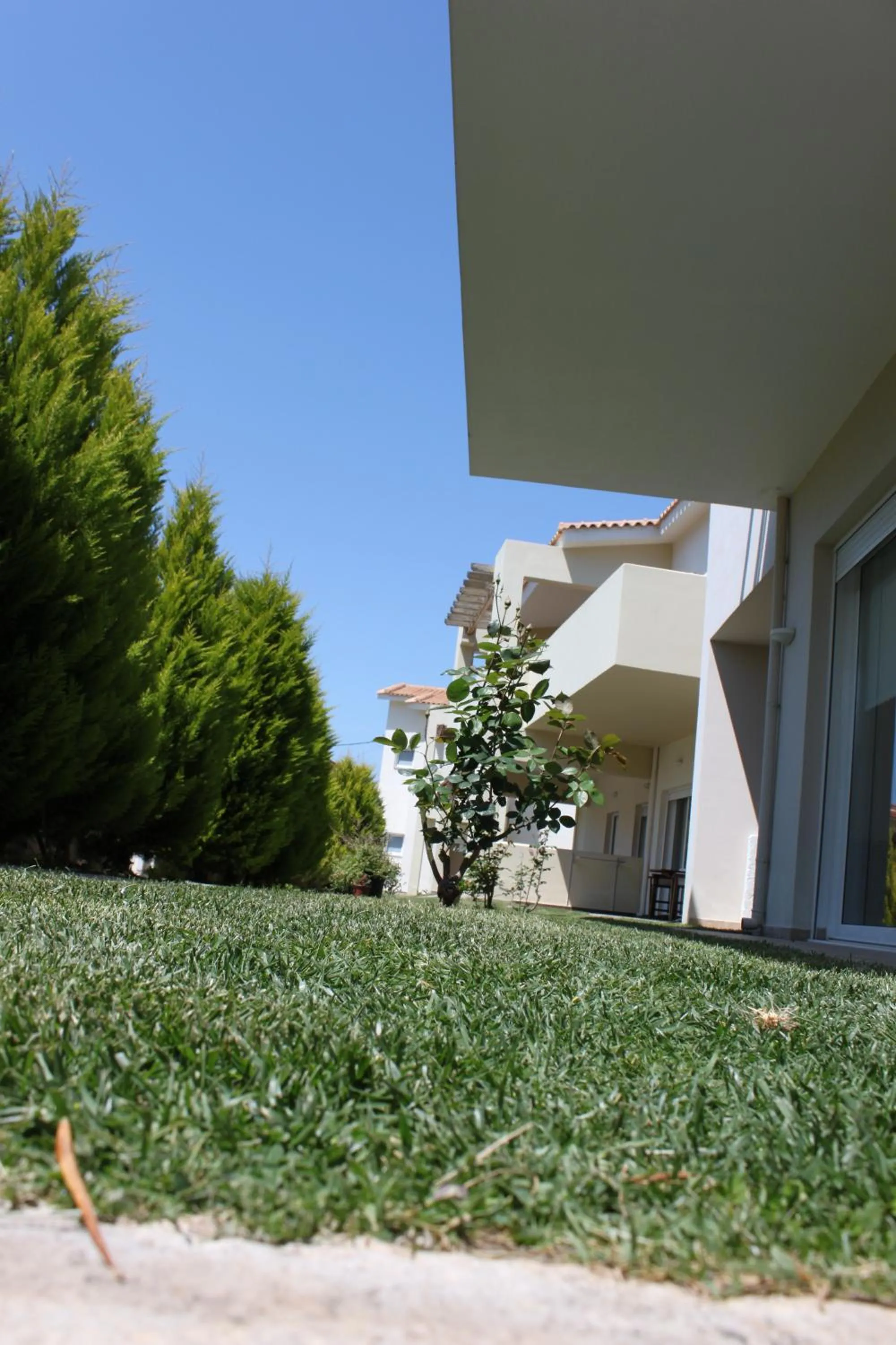 Area and facilities in Alkistis Hotel