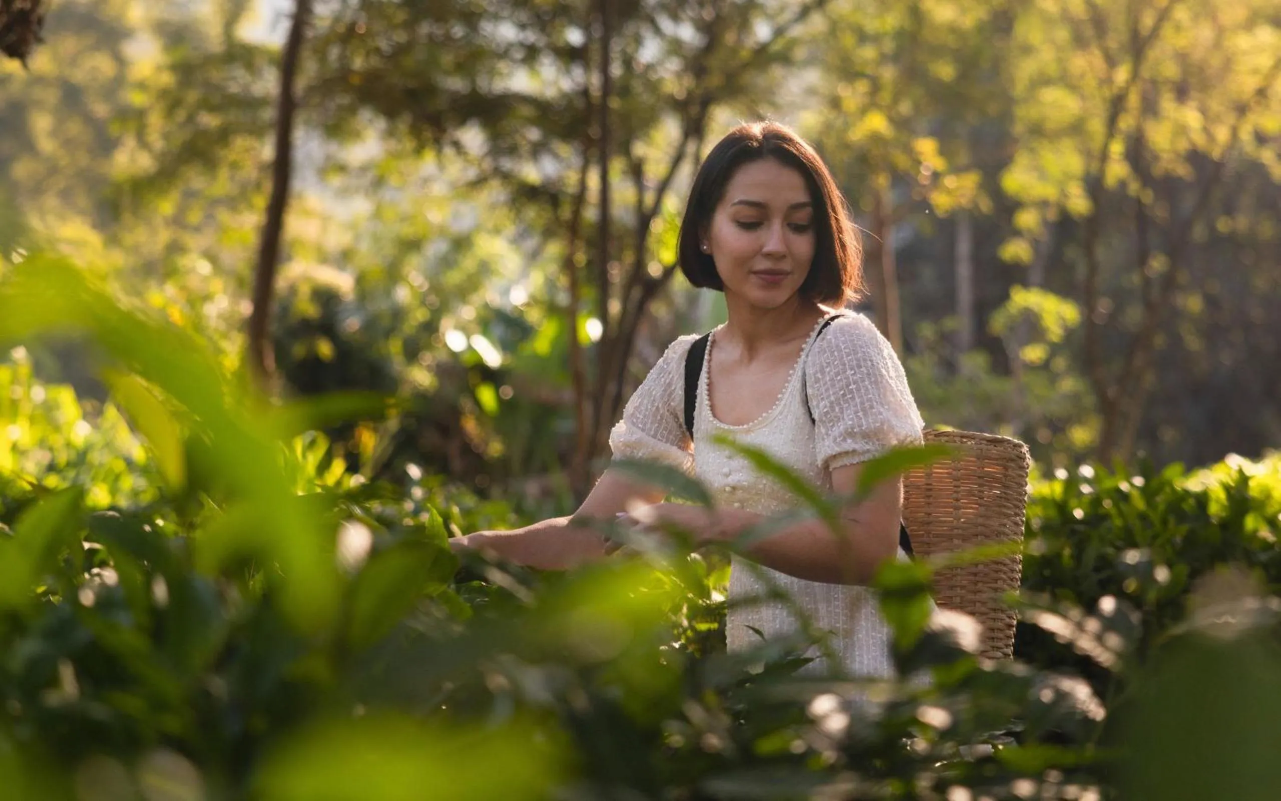 Day in Dusit Princess Chiang Mai