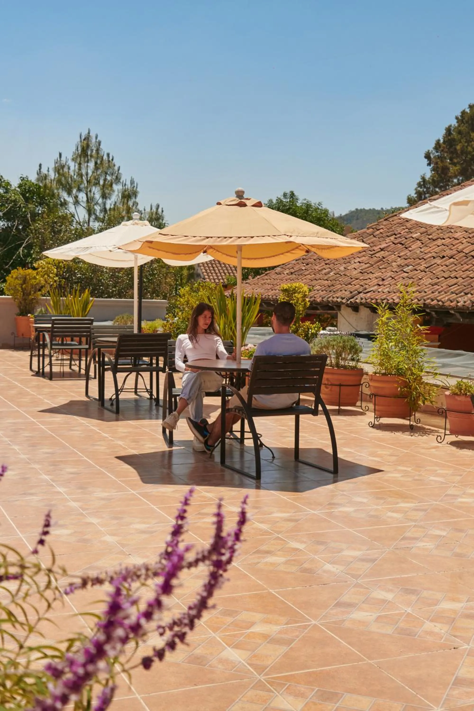 Balcony/Terrace in Hotel Mansion Del Valle