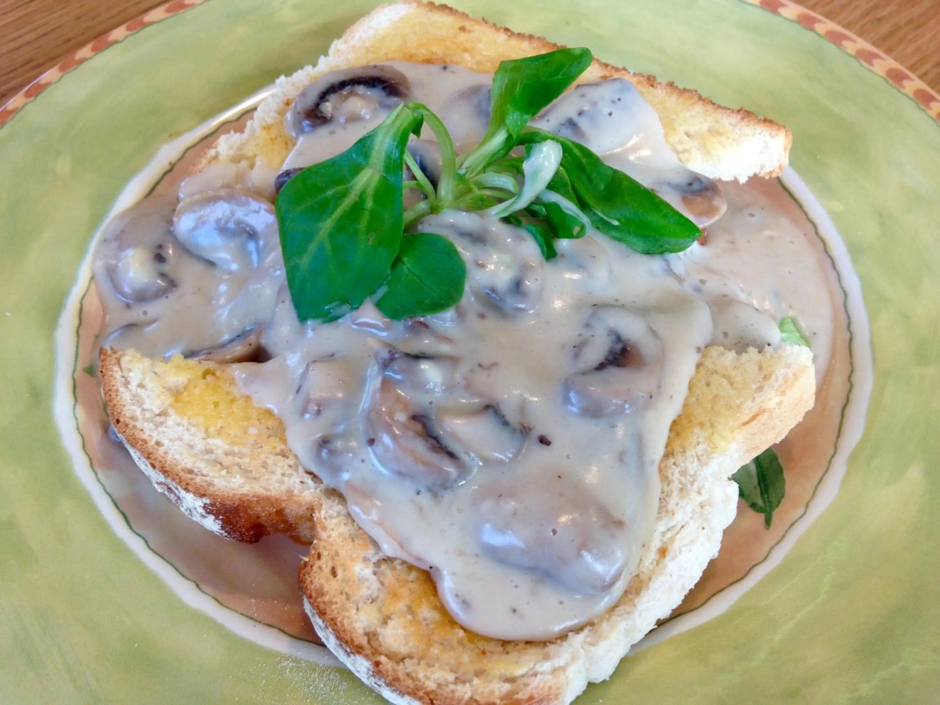 Other in Priors Oak - A Cosy Studio with Countryside Views in Dorset