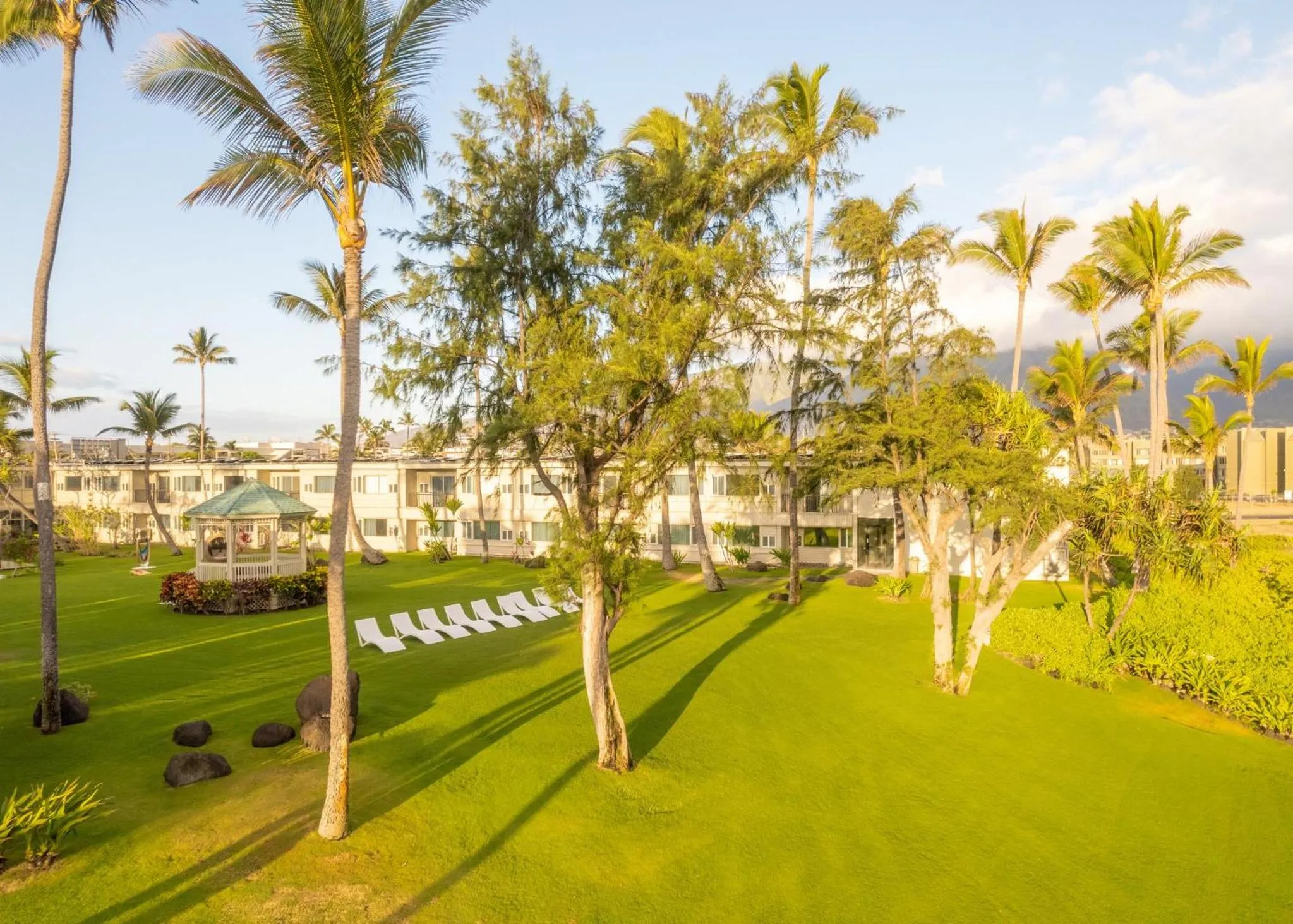 Balcony/Terrace in Maui Beach Hotel
