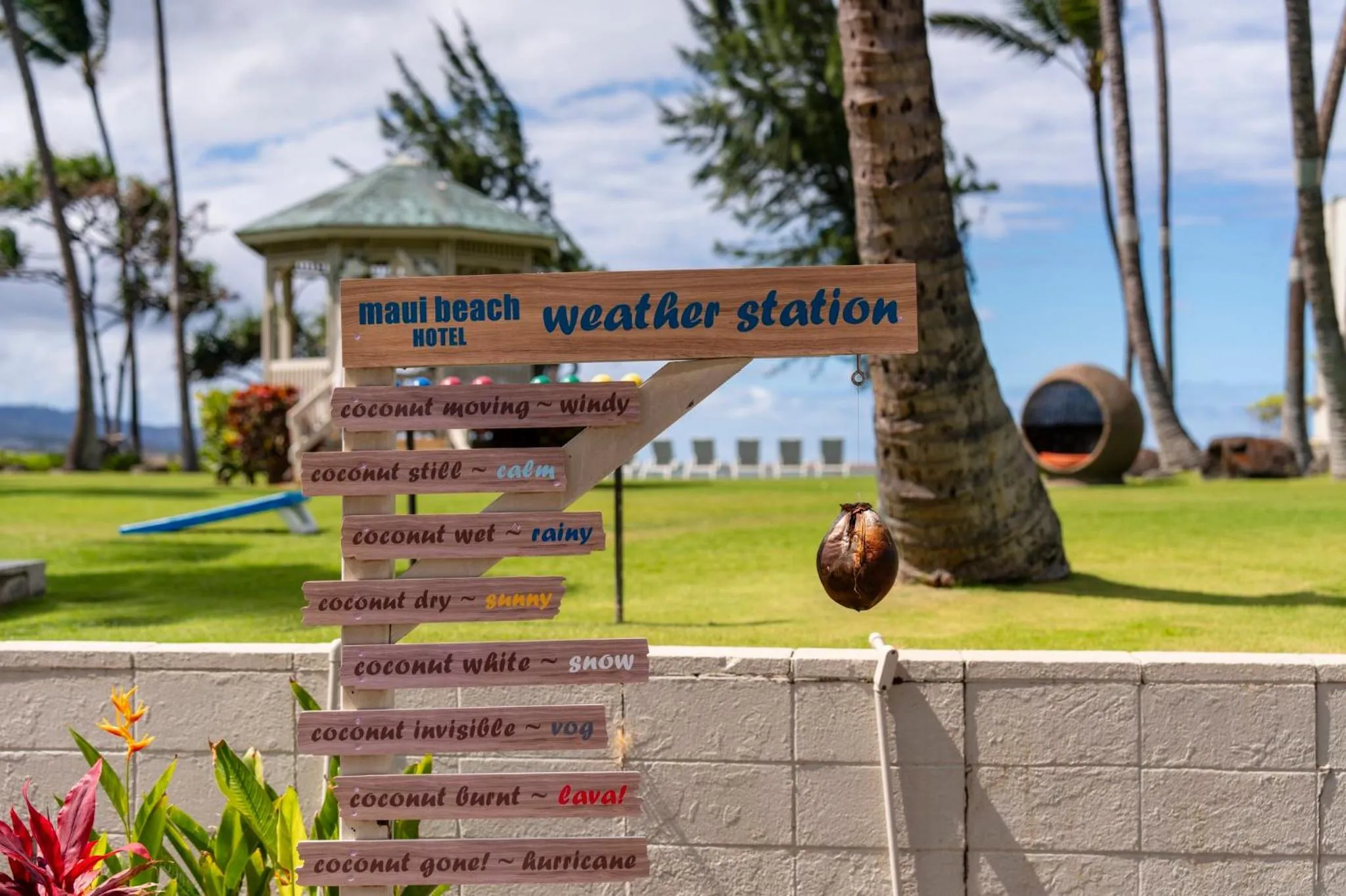 Other in Maui Beach Hotel