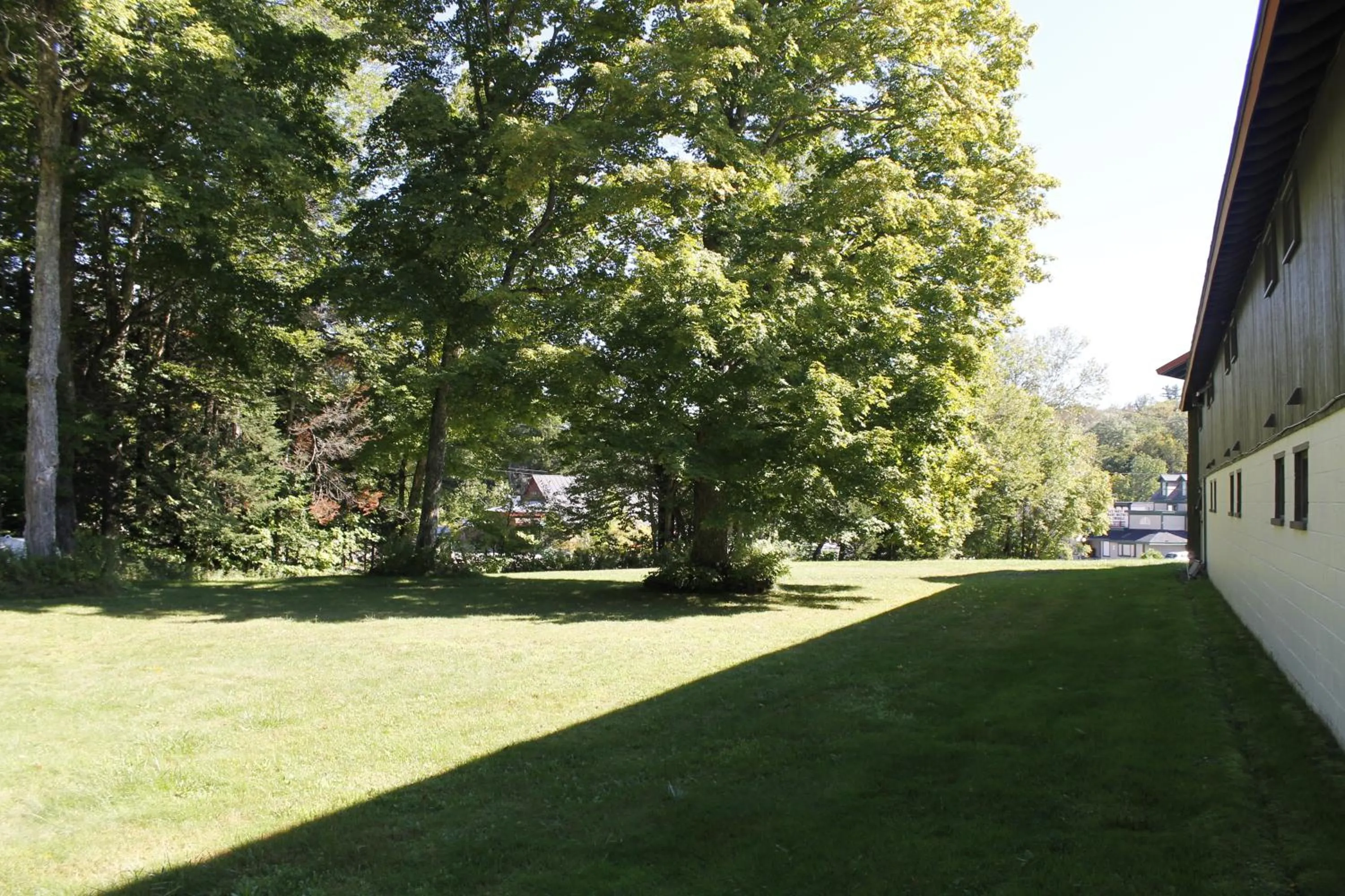 Garden in Happy Bear Motel