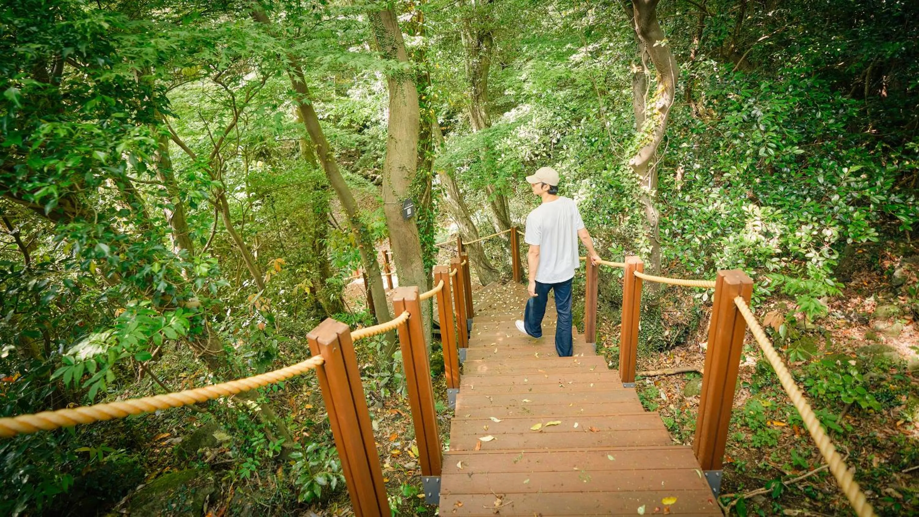 Garden in Mercure Ambassador Jeju