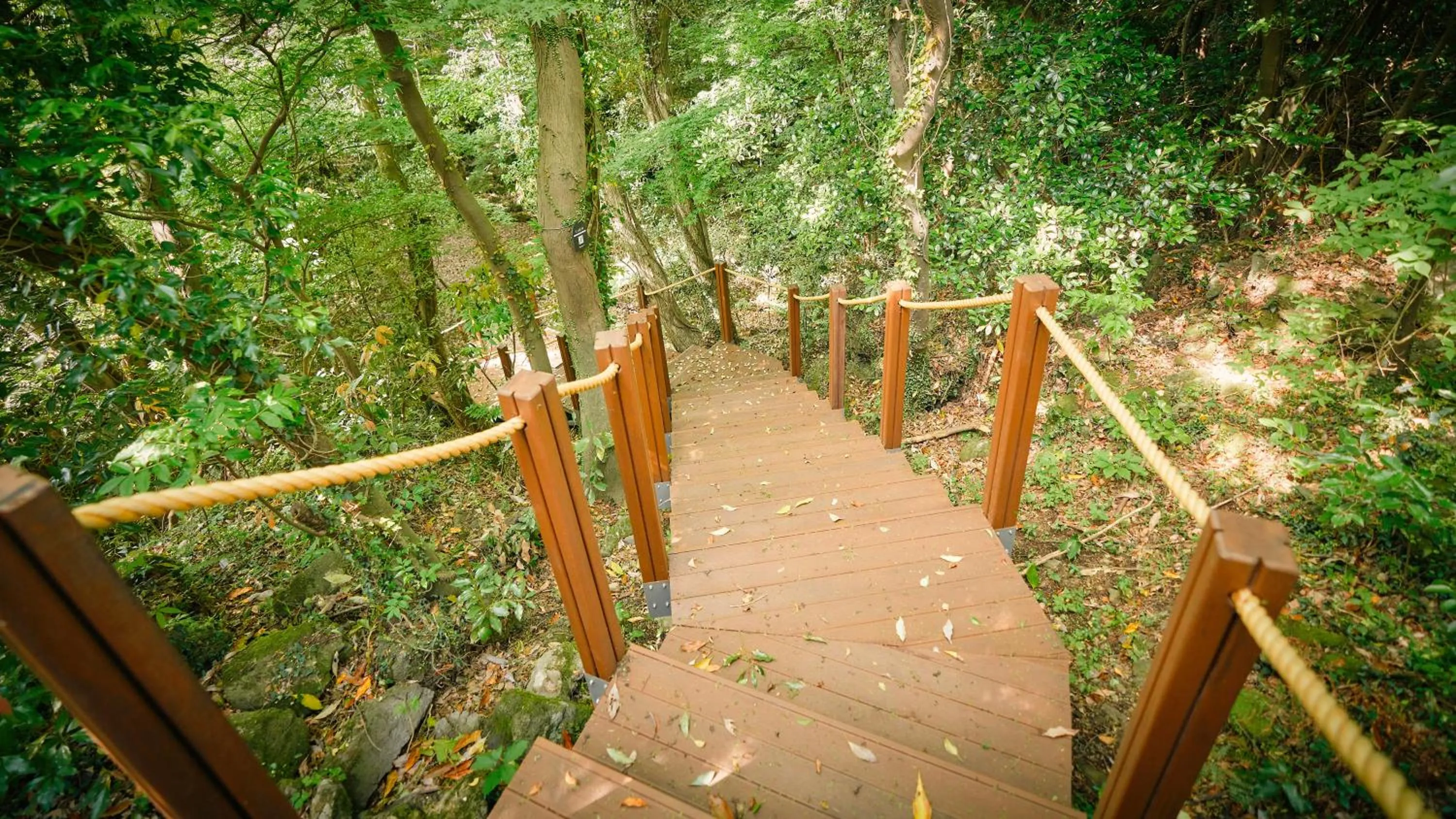 Garden in Mercure Ambassador Jeju