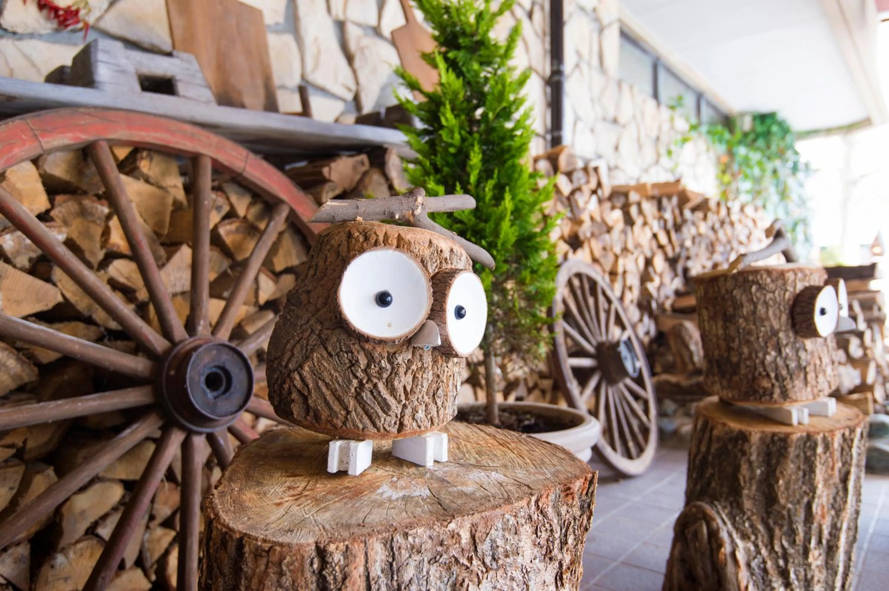 Facade/entrance in Hakuba Mominoki Hotel