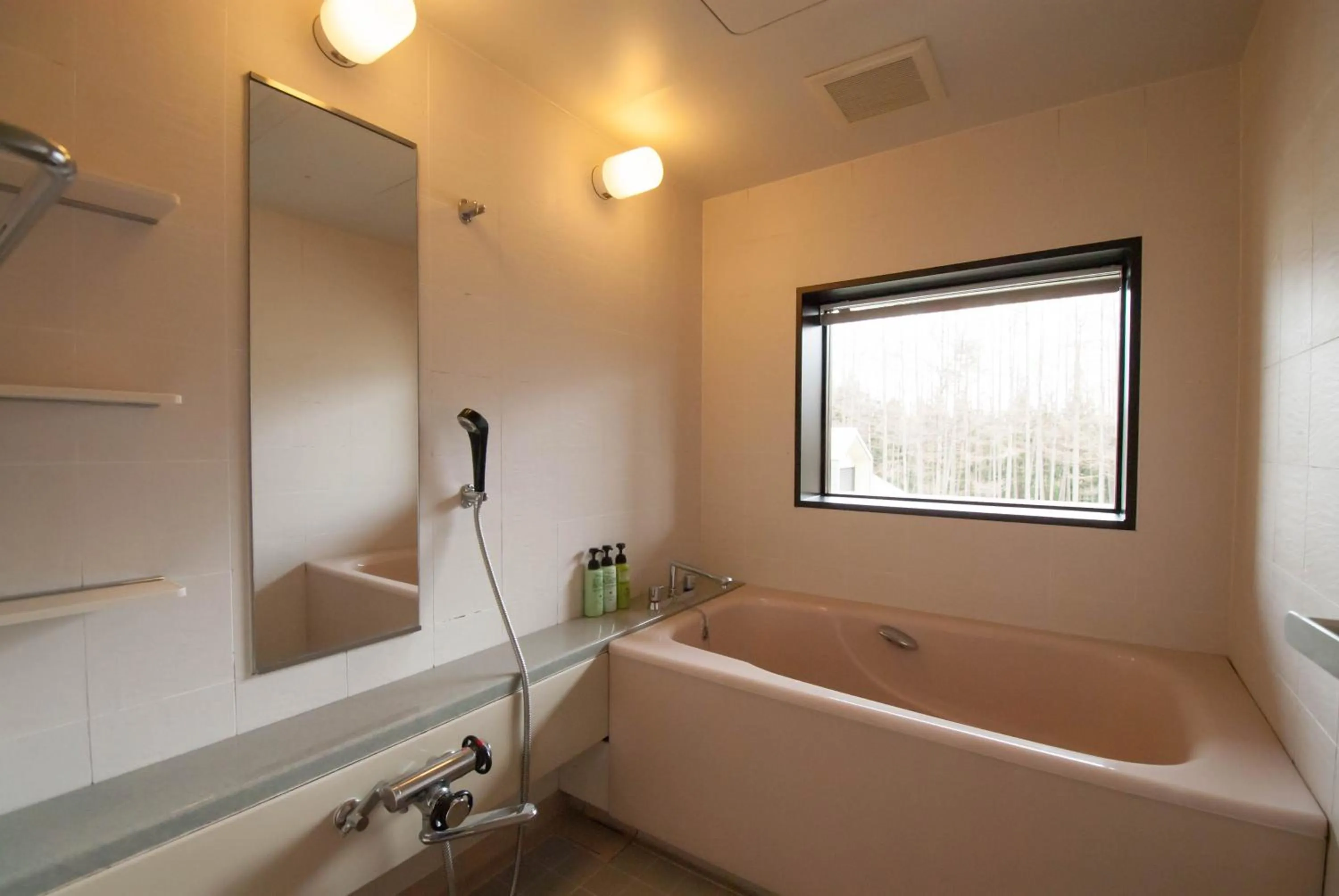 Shower in Hakuba Mominoki Hotel