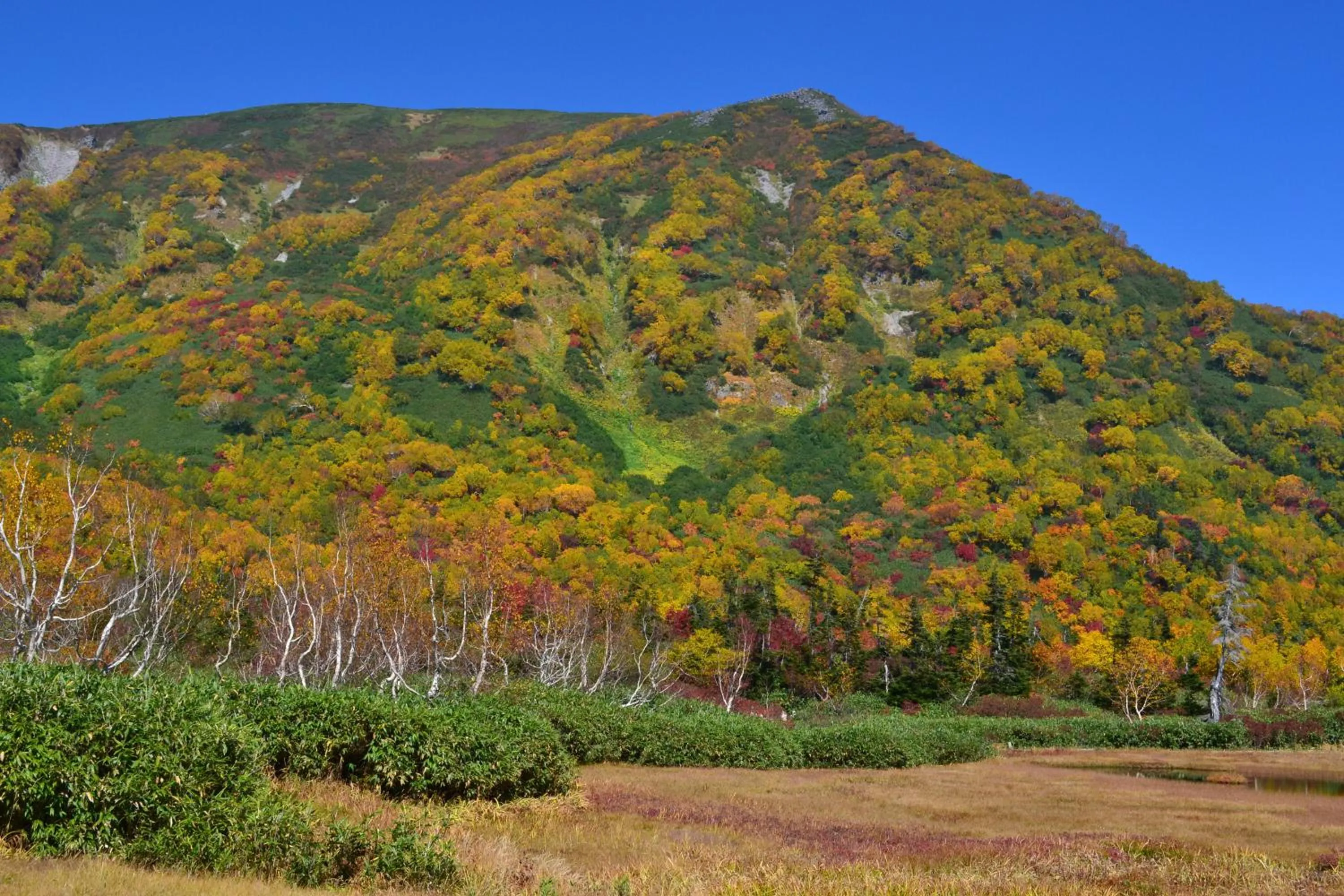 Nearby landmark in Hakuba Mominoki Hotel