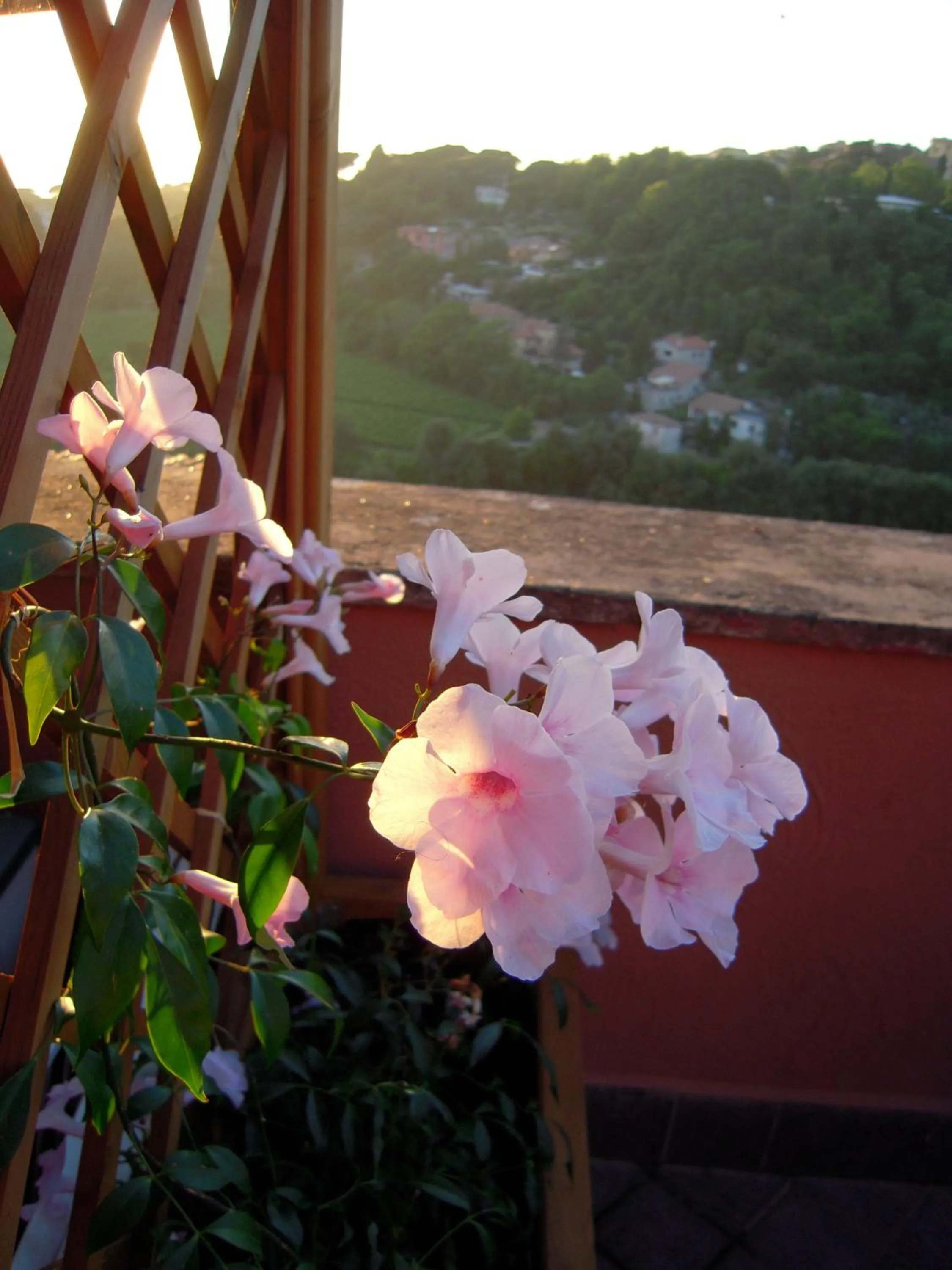 Balcony/Terrace in Casa Vacanze Palazzo Primoli