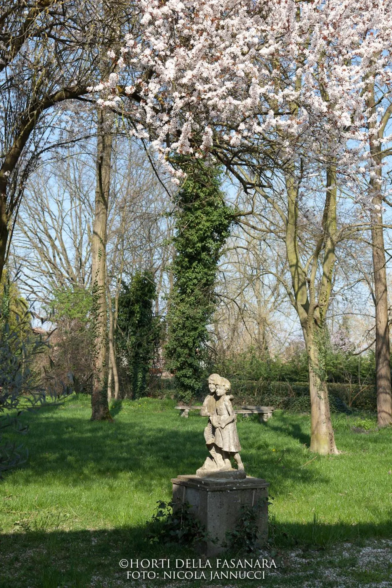 Garden in Horti Della Fasanara