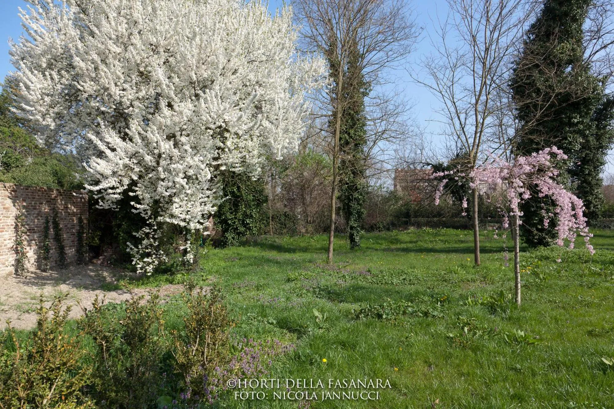 Garden in Horti Della Fasanara