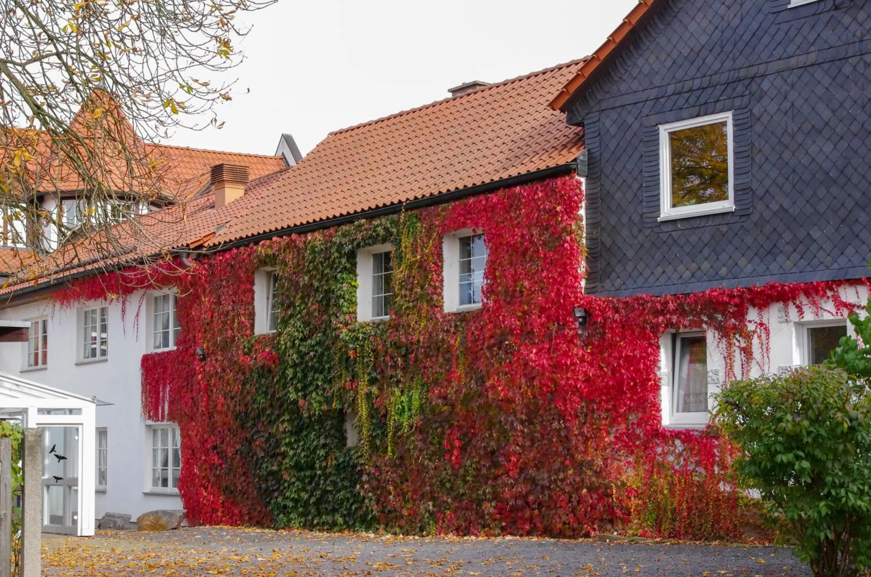 Facade/entrance in Landhotel & Restaurant Kains Hof