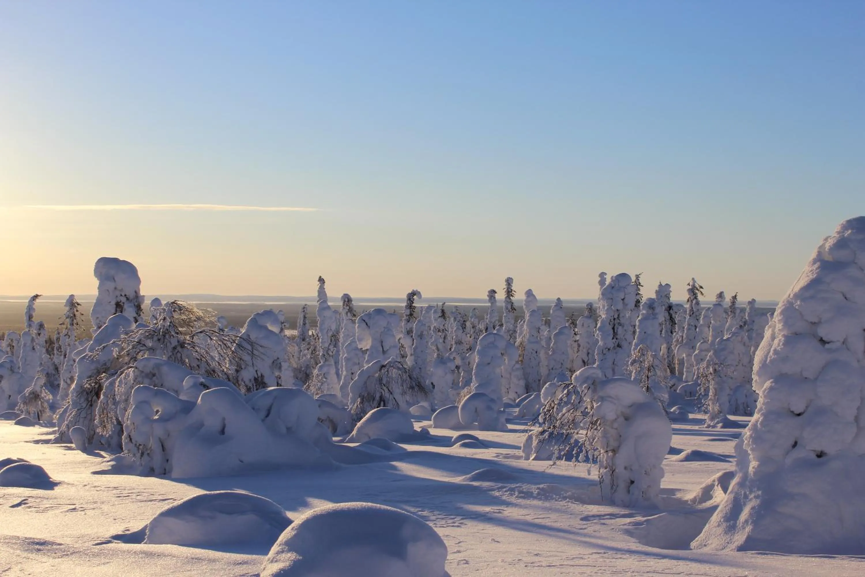 Neighbourhood in Tankavaara Gold Village