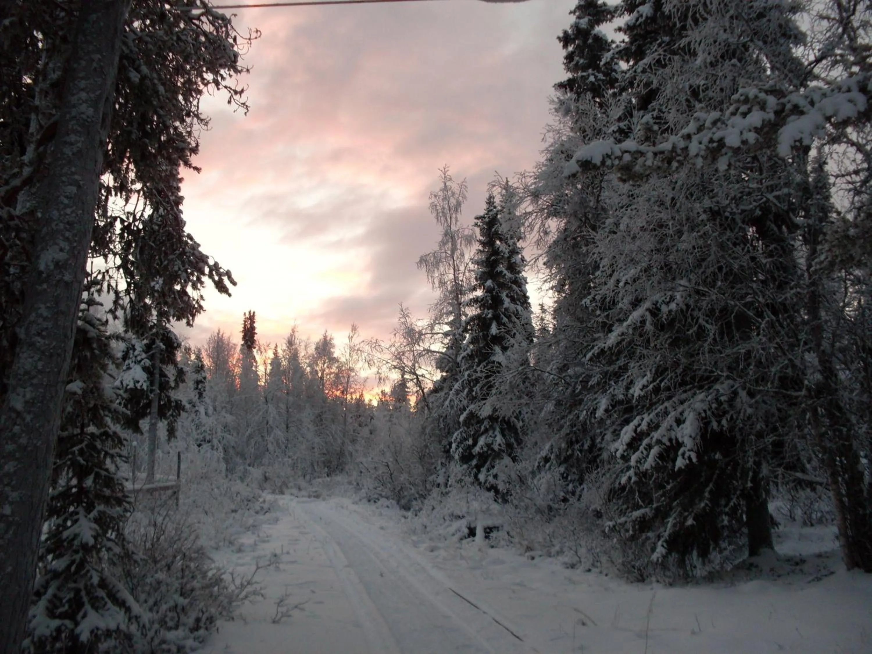 Area and facilities in Tankavaara Gold Village