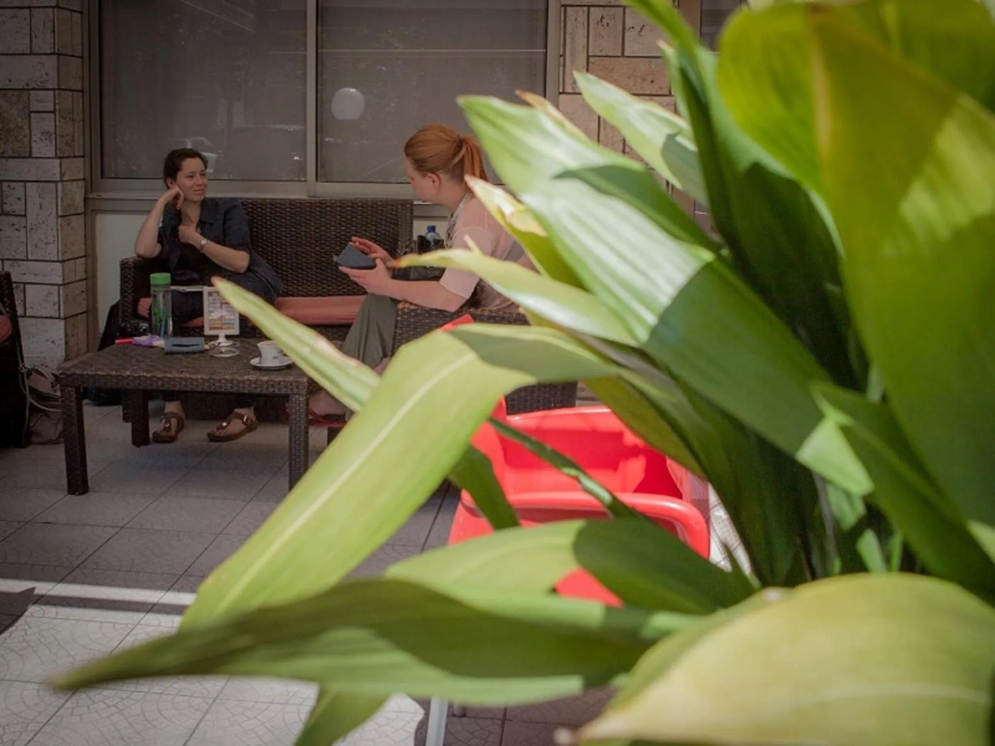 Garden in Hotel Ausonia B&B RiMiNi