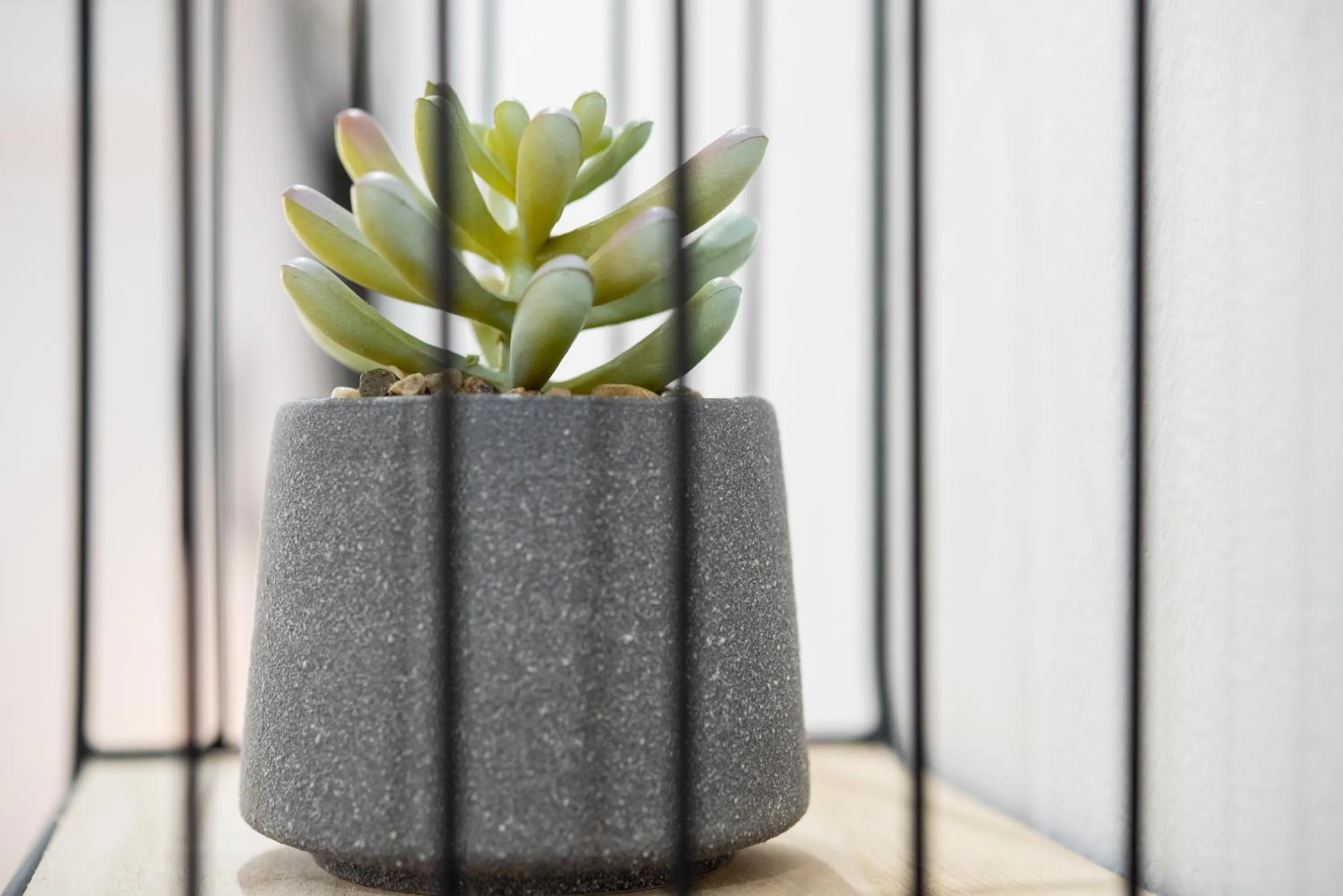 Terinikos Sunny Garden Hotel & Junior Suites